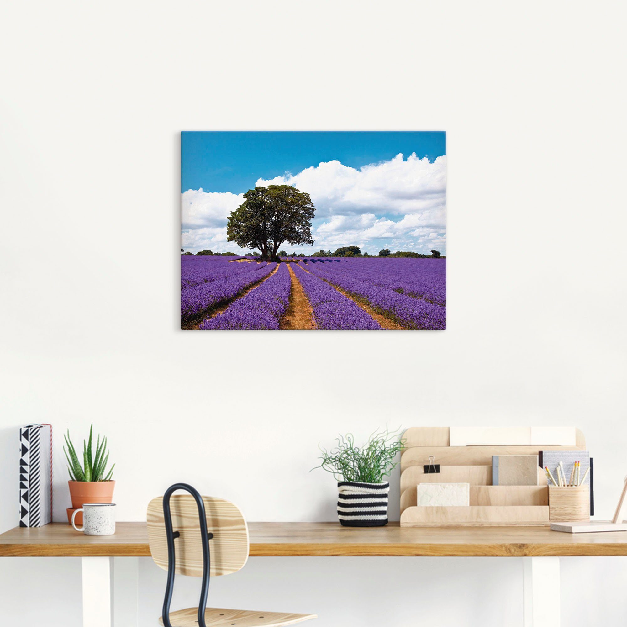 Artland Artprint Mooi lavendelveld in de zomer als artprint van aluminium, artprint voor buiten, artprint op linnen in verschillende maten