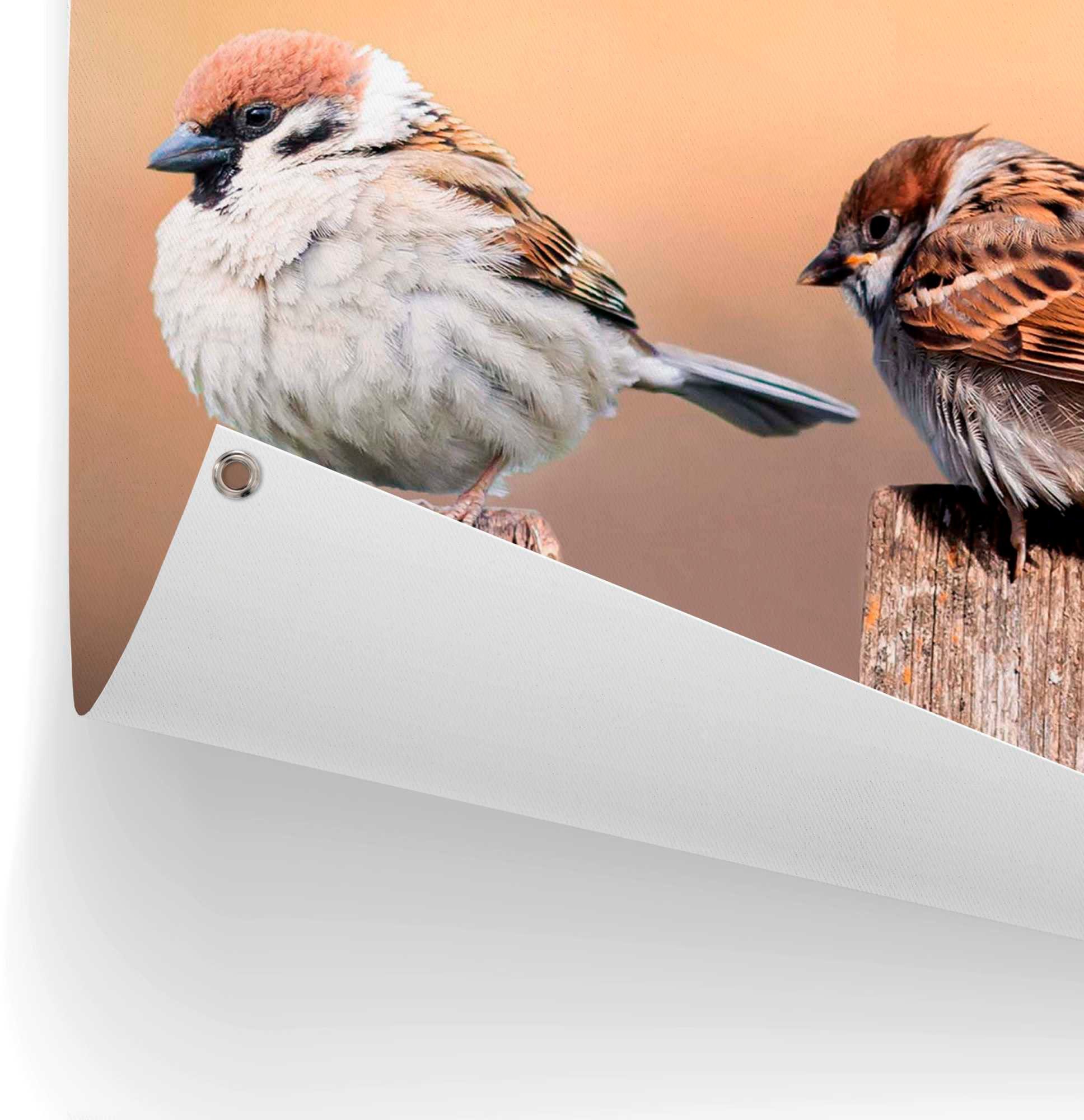 Reinders! Poster Vogelfamilie
