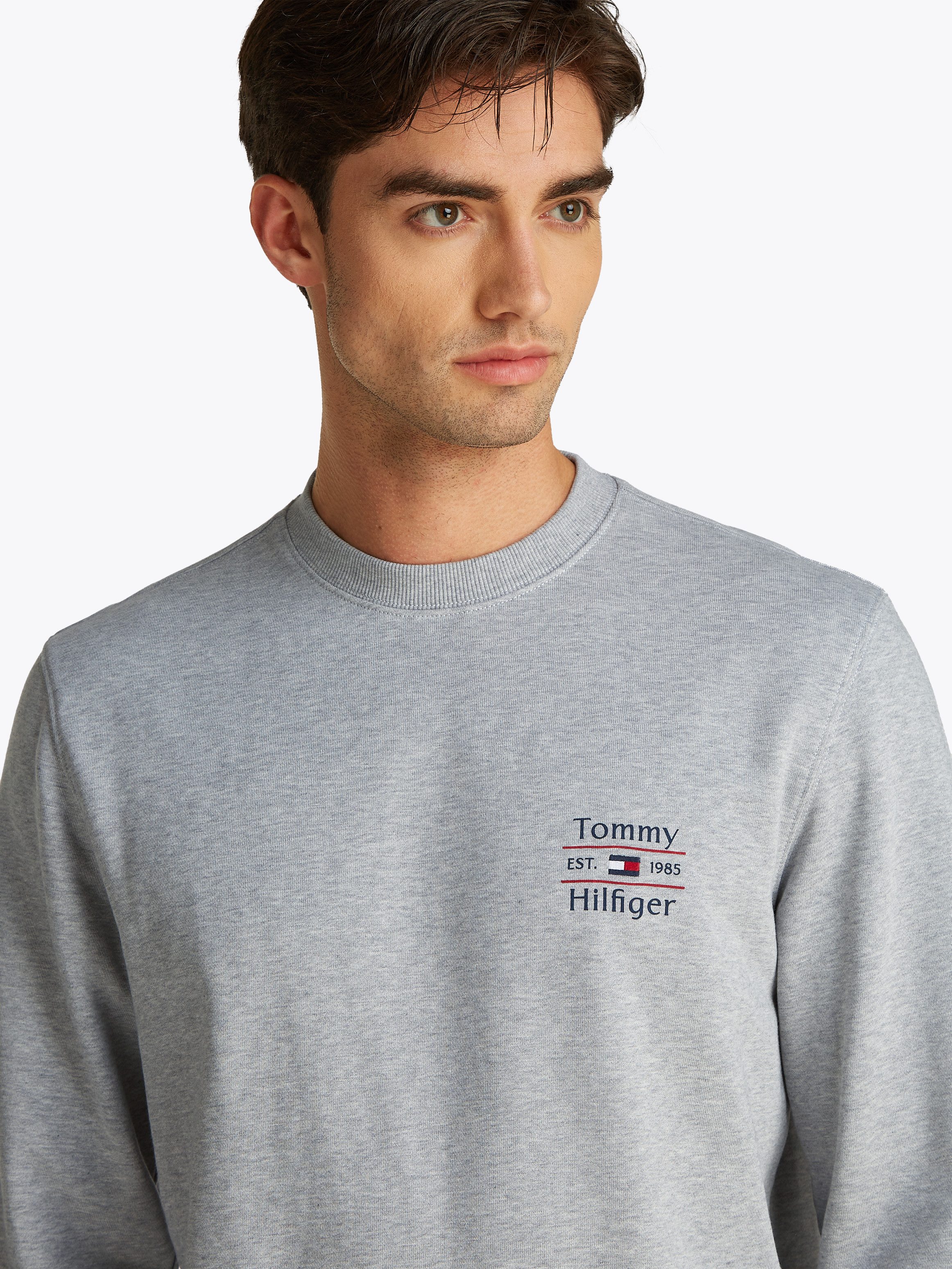 Tommy Hilfiger Sweatshirt HILFIGER STACK SWEATSHIRT