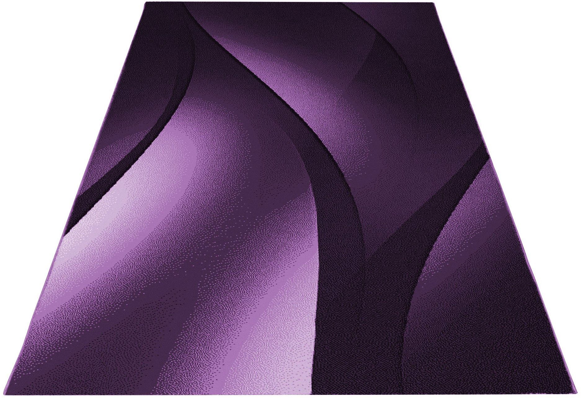 Ayyildiz Teppiche Vloerkleed PLUS 8010