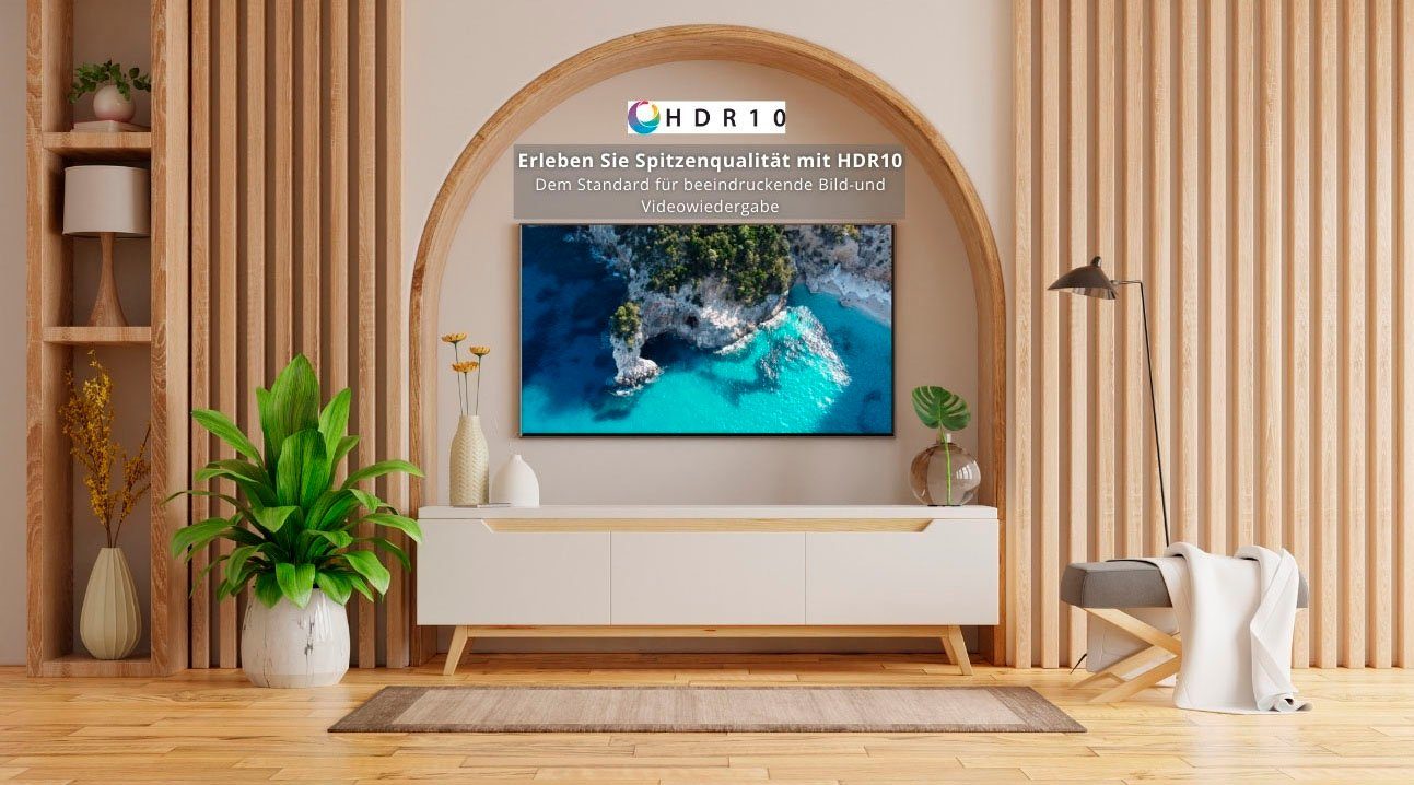 Toshiba QLED-TV 43QV2463DA, 108 cm / 43", 4K Ultra HD, Smart TV