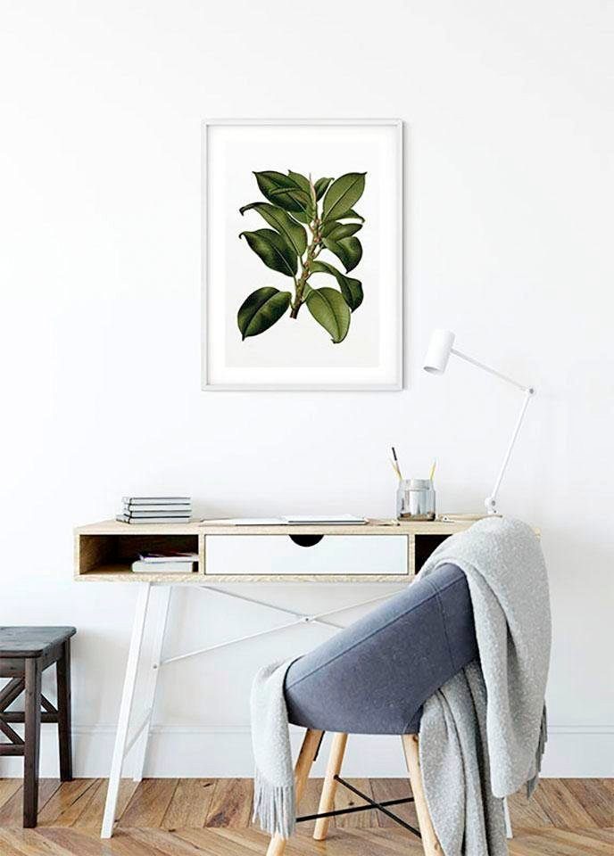 Komar Wanddecoratie Elastica Tree Wanddecoratie - zonder lijst (1 stuk)