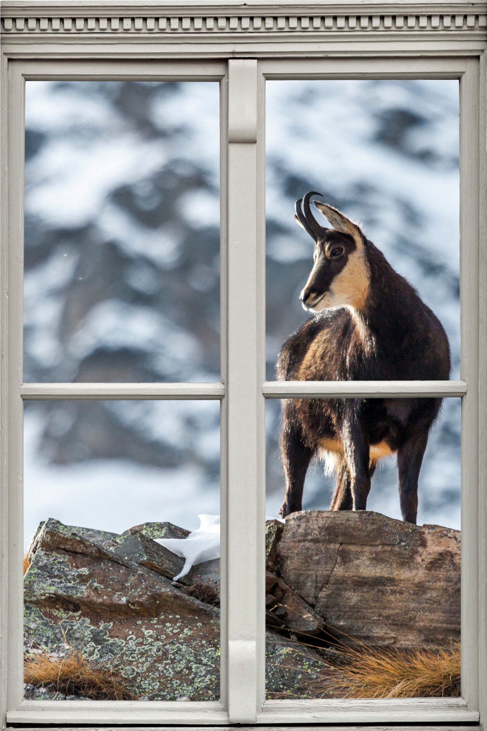 queence Wandfolie Steinbock