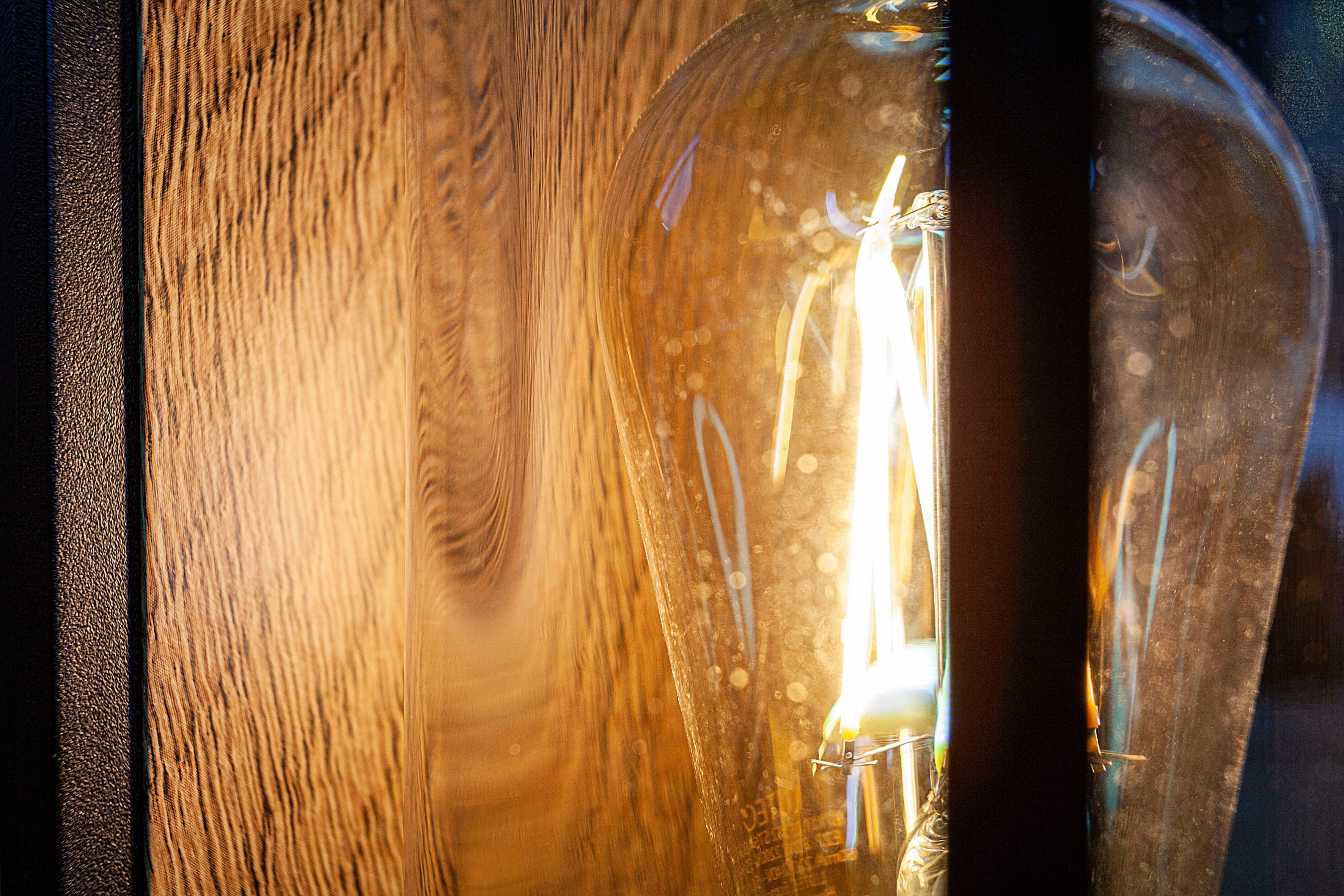 LUTEC Wandlamp voor buiten Flair (1 stuk)