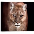 reinders! artprint op hout cougar - close-up (1 stuk) bruin