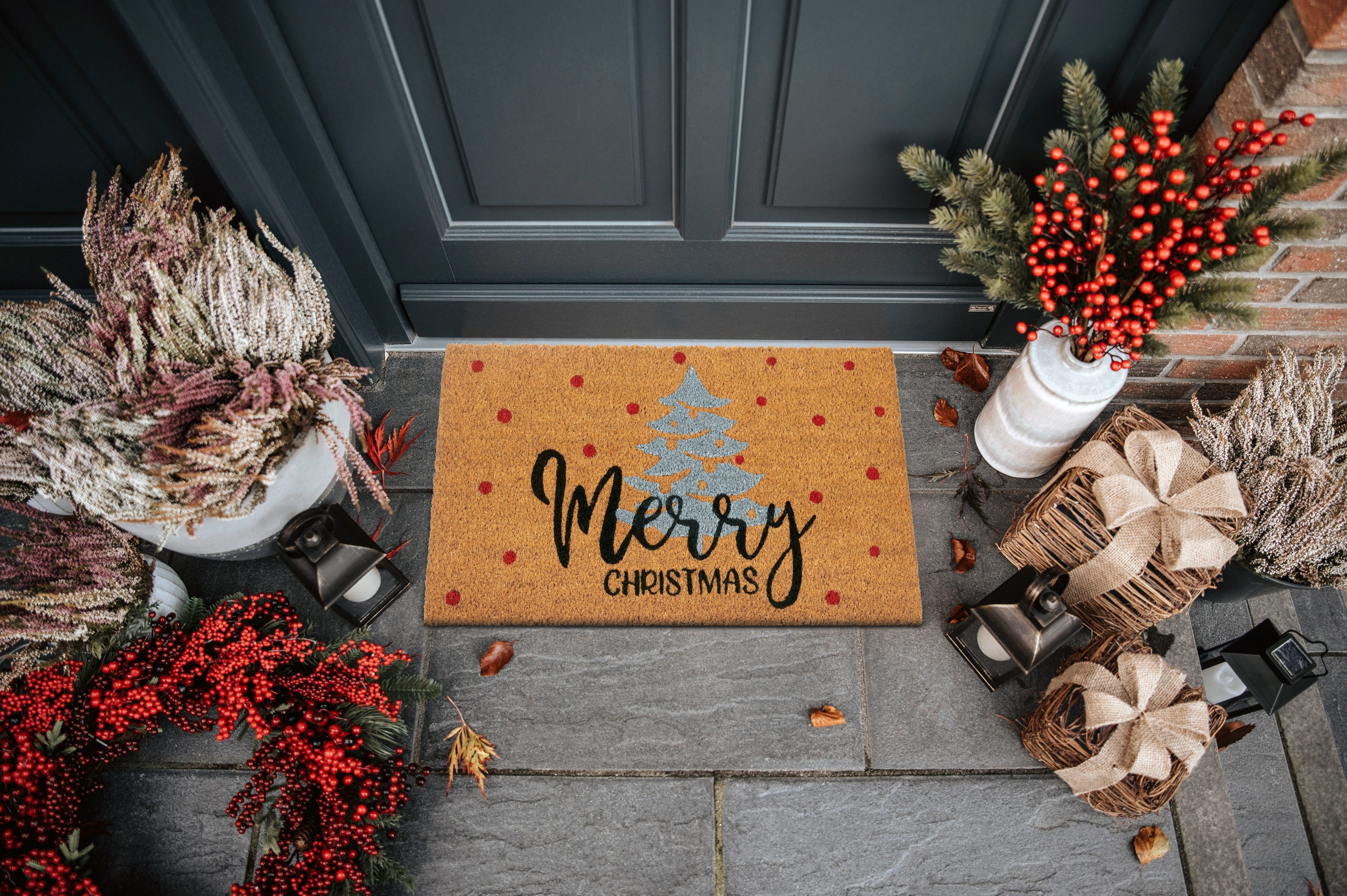HANSE Home Mat Kokos Silver Christmas Gifts, deurmat Vuilafstotende mat, antislip, buiten, kerst, kokosmat, gang