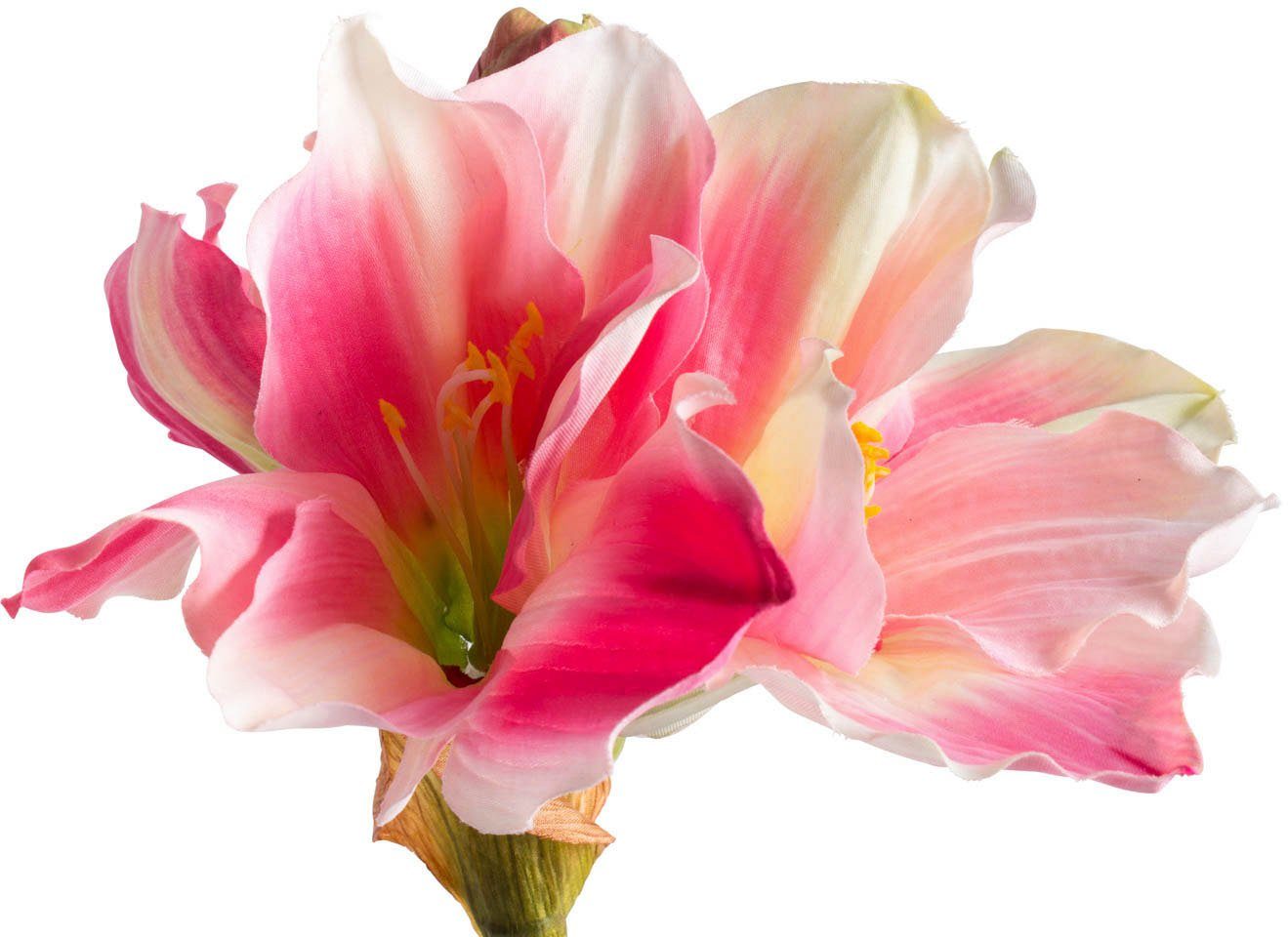 Botanic-Haus Kunstbloem Amaryllis in bruine kunststof pot (1 stuk)