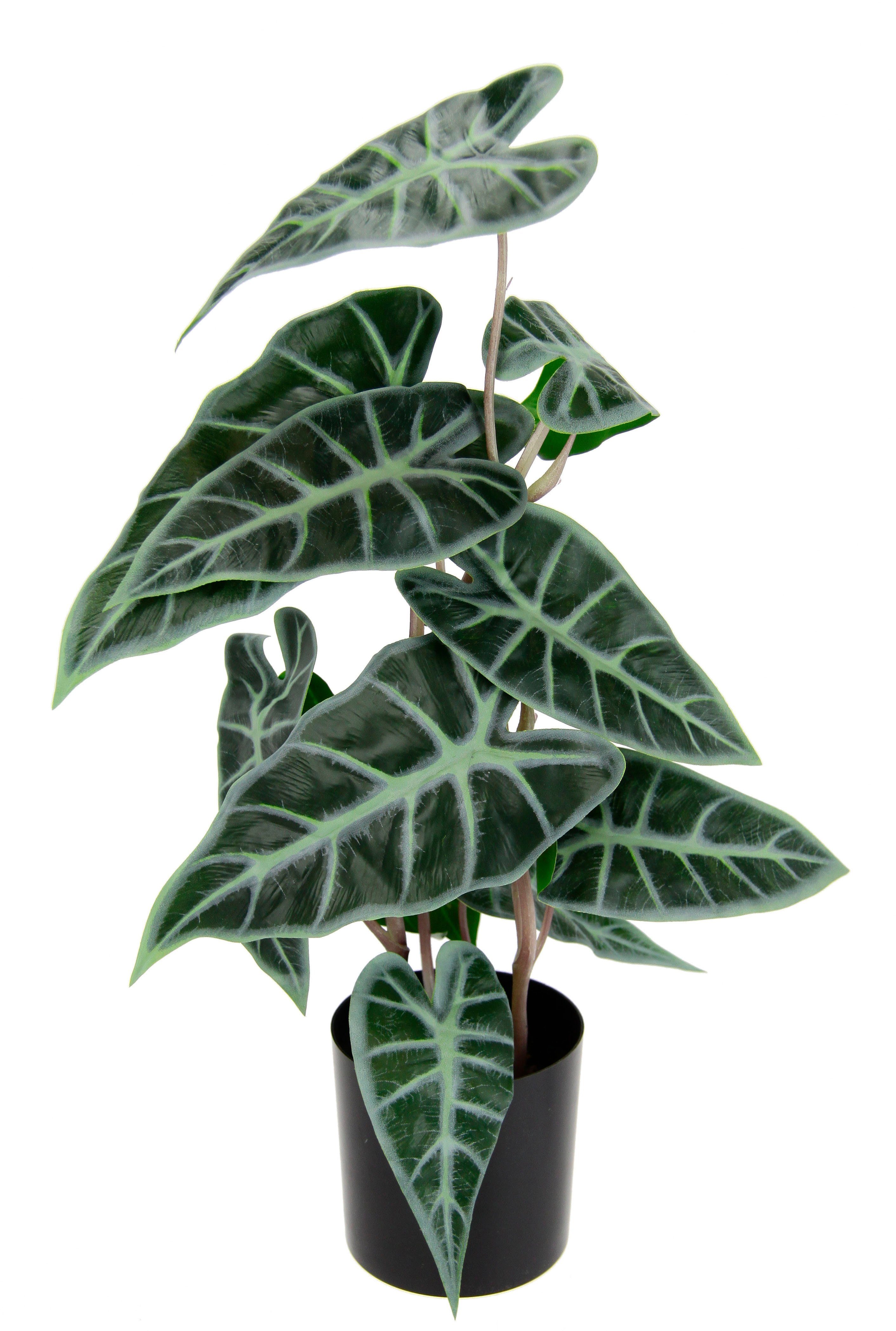 I.GE.A. Kunstplant Calathea Kunstplant, zijden bloemen, kamerplant, Zebrina, Alocasia Sanderiana (1 stuk)