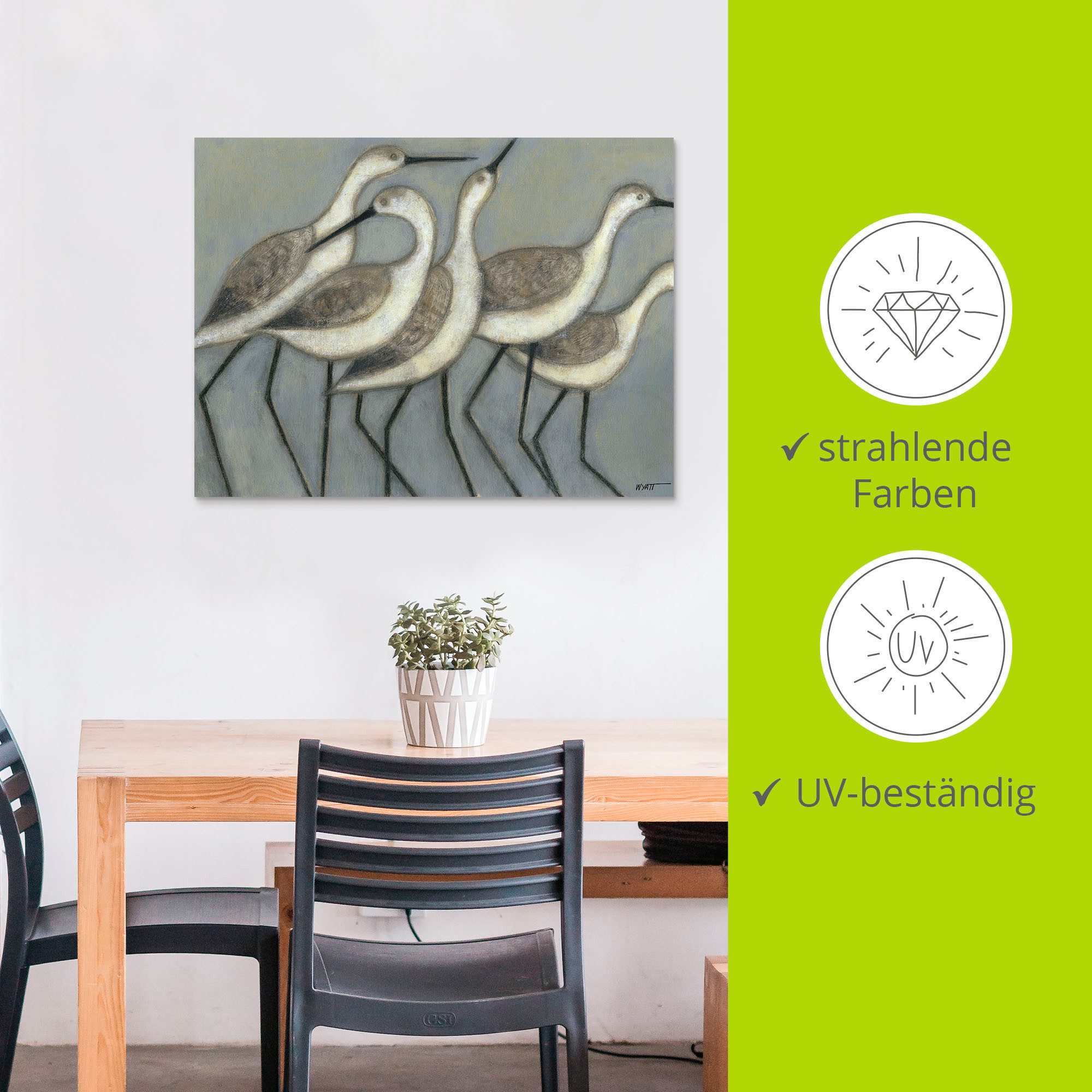 Artland Aluminium dibond print Kustvogels II geschikt voor binnen en buiten, buitenafbeelding