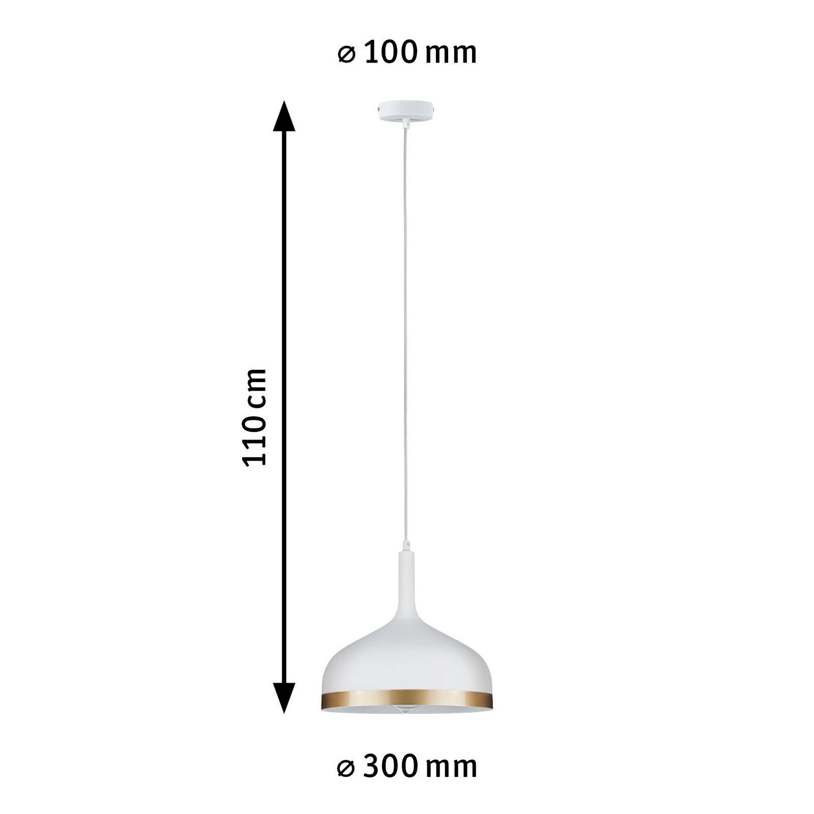 Paulmann Hanglamp Neordic Embla max. 1x20W Mat 230V Metaal (1 stuk)