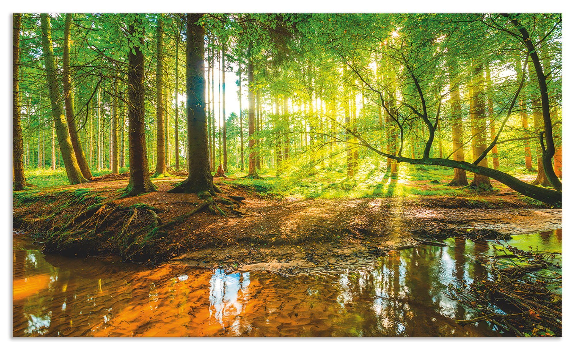 Artland Keukenwand Bos met beek zelfklevend in vele maten - spatscherm keuken achter kookplaat en spoelbak als wandbescherming tegen vet, water en vuil - achterwand, wandbekleding