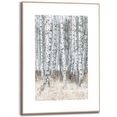 reinders! wanddecoratie ingelijste afbeelding berken natuurmotief - bomen - fotografie (1 stuk) wit