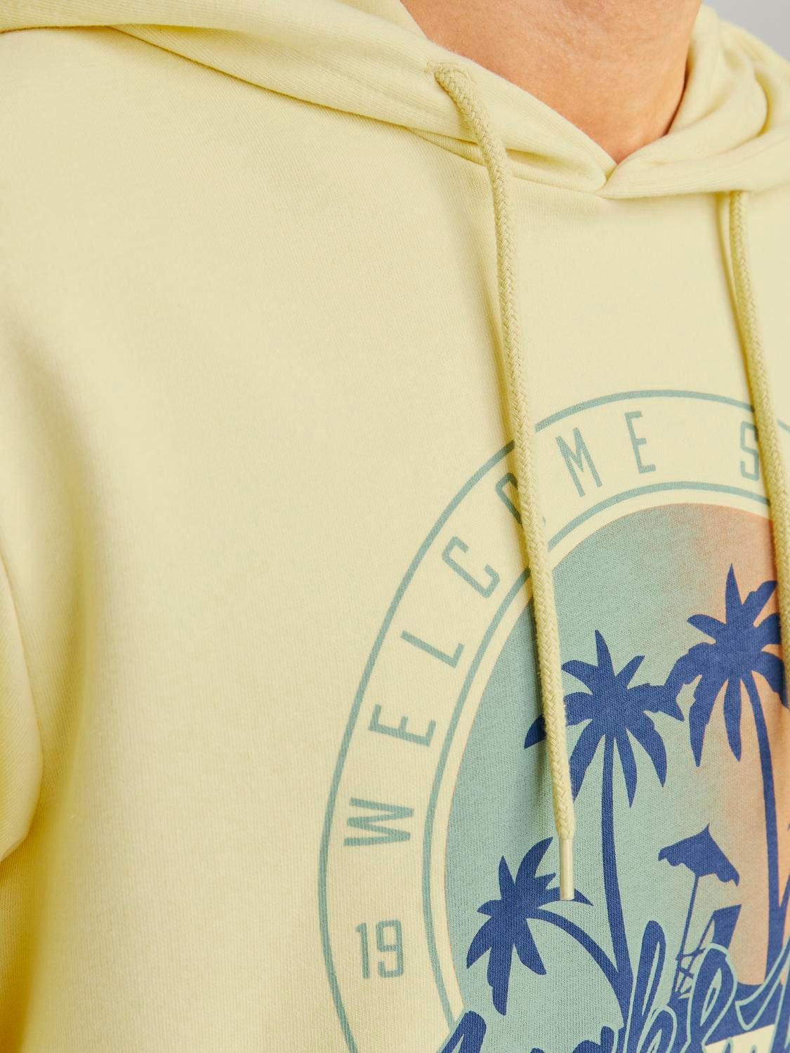 Jack & Jones Hoodie JJSUMMER VIBE SWEAT HOOD