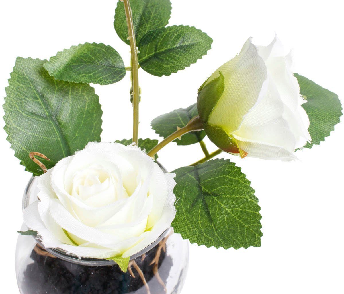 Botanic-Haus Kunstbloem Rozen in het glas (set, 2 stuks)