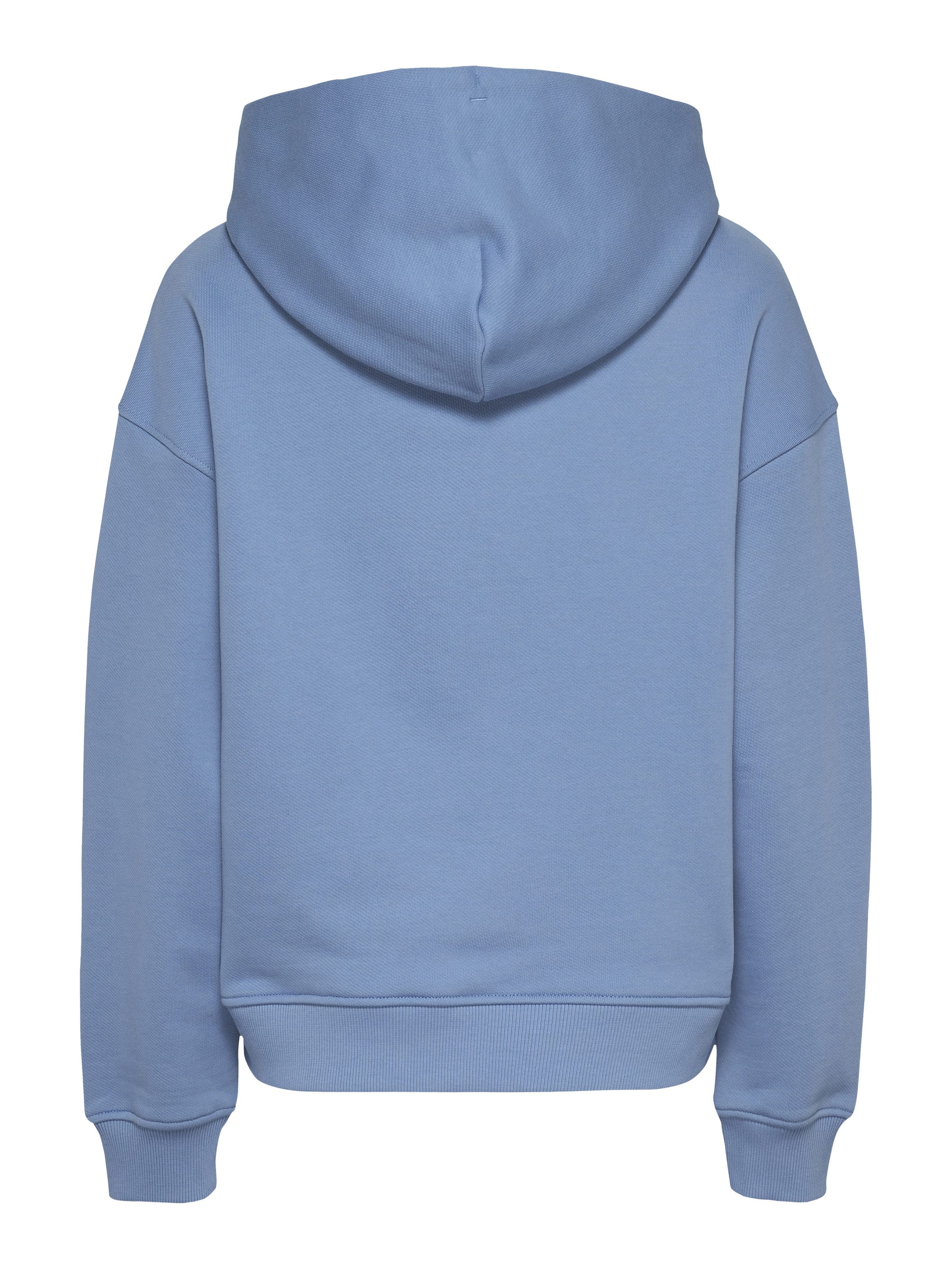 Tommy Jeans Curve Hoodie TJW BXY BADGE HOODIE EXT in grote maten, capuchon, badge