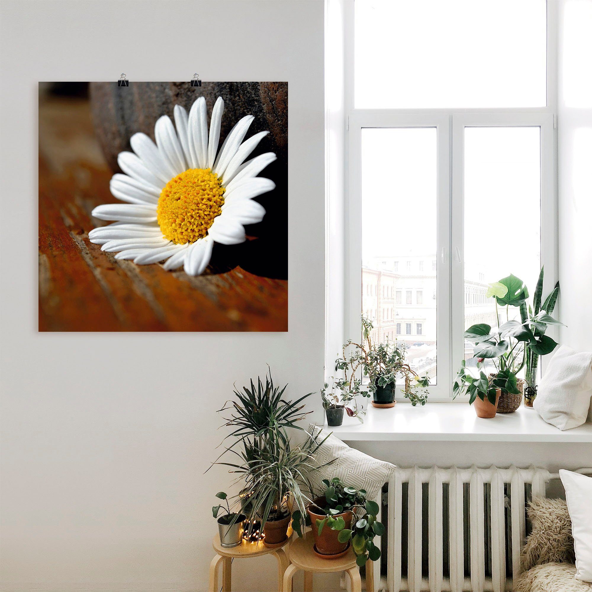 Artland Poster Margrieten stilleven als artprint op linnen, muursticker of poster in verschillende maten