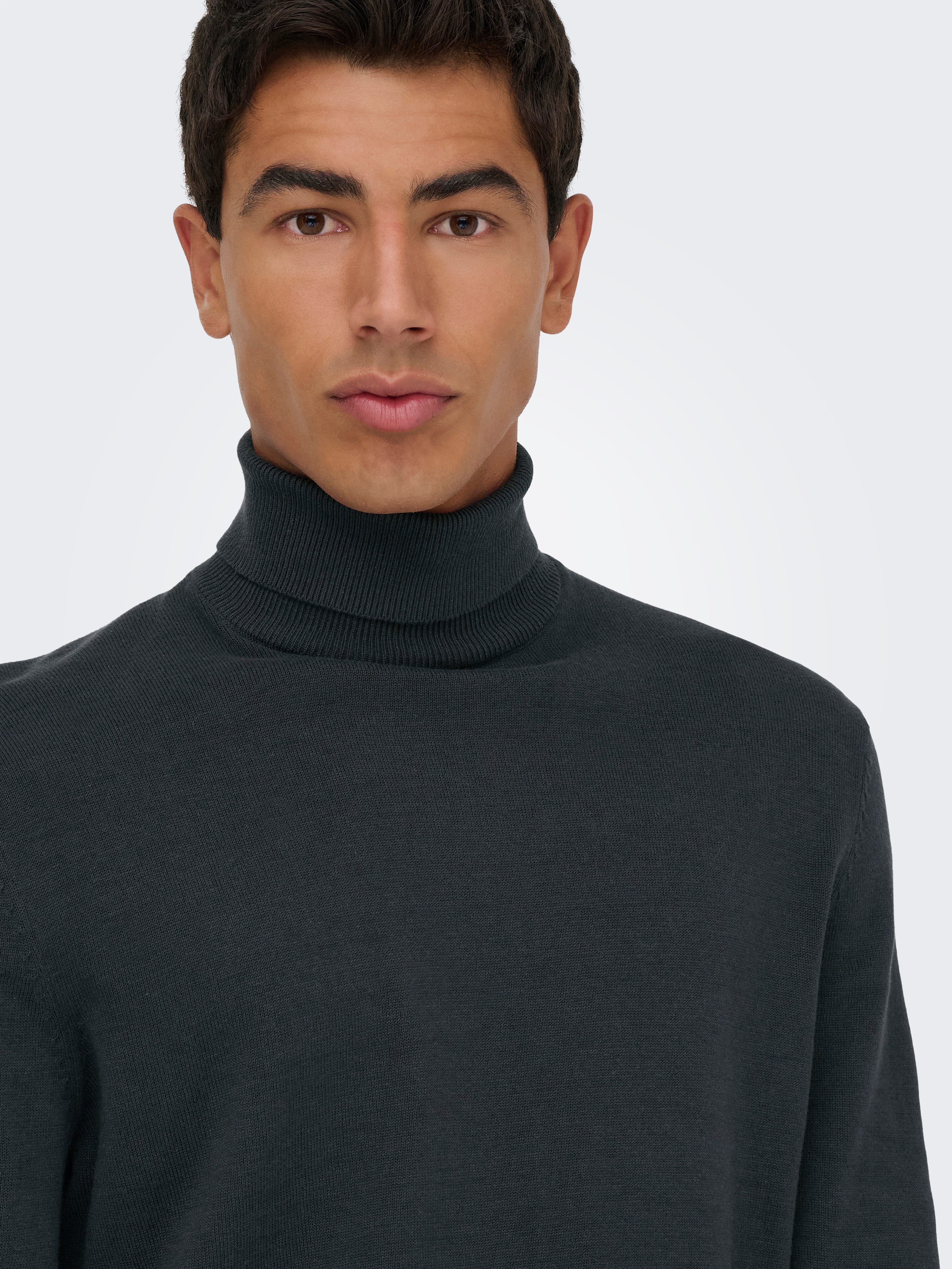 ONLY & SONS Coltrui ONSHOLGER REG ROLL NECK KNIT - OTL
