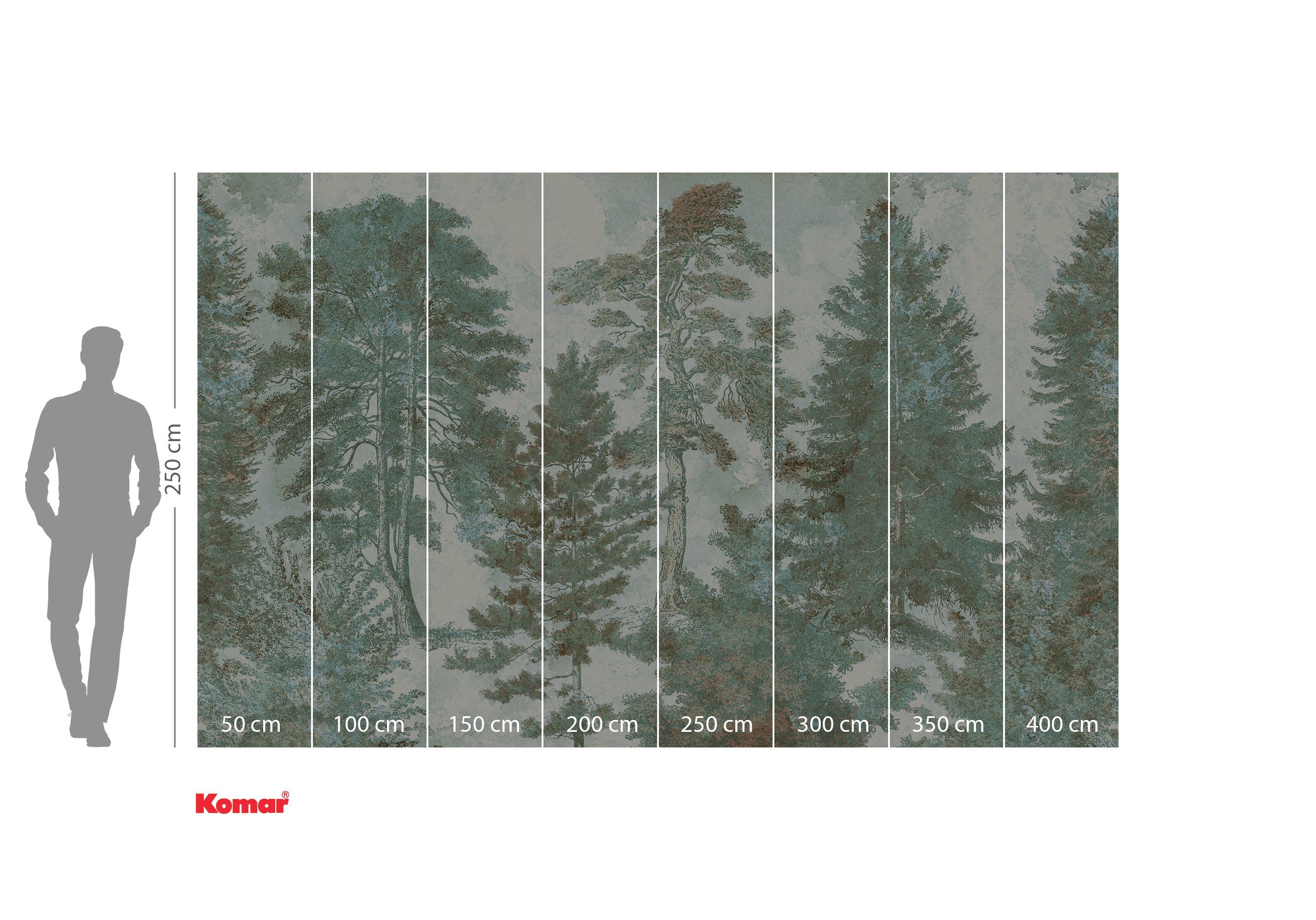 Komar Fotobehang Digitale print vlies - Pale Panoramic - Afmeting 400 x 250 cm (1 stuk)