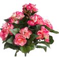 botanic-haus kunstbloem begonia met 9 stelen (1 stuk) roze