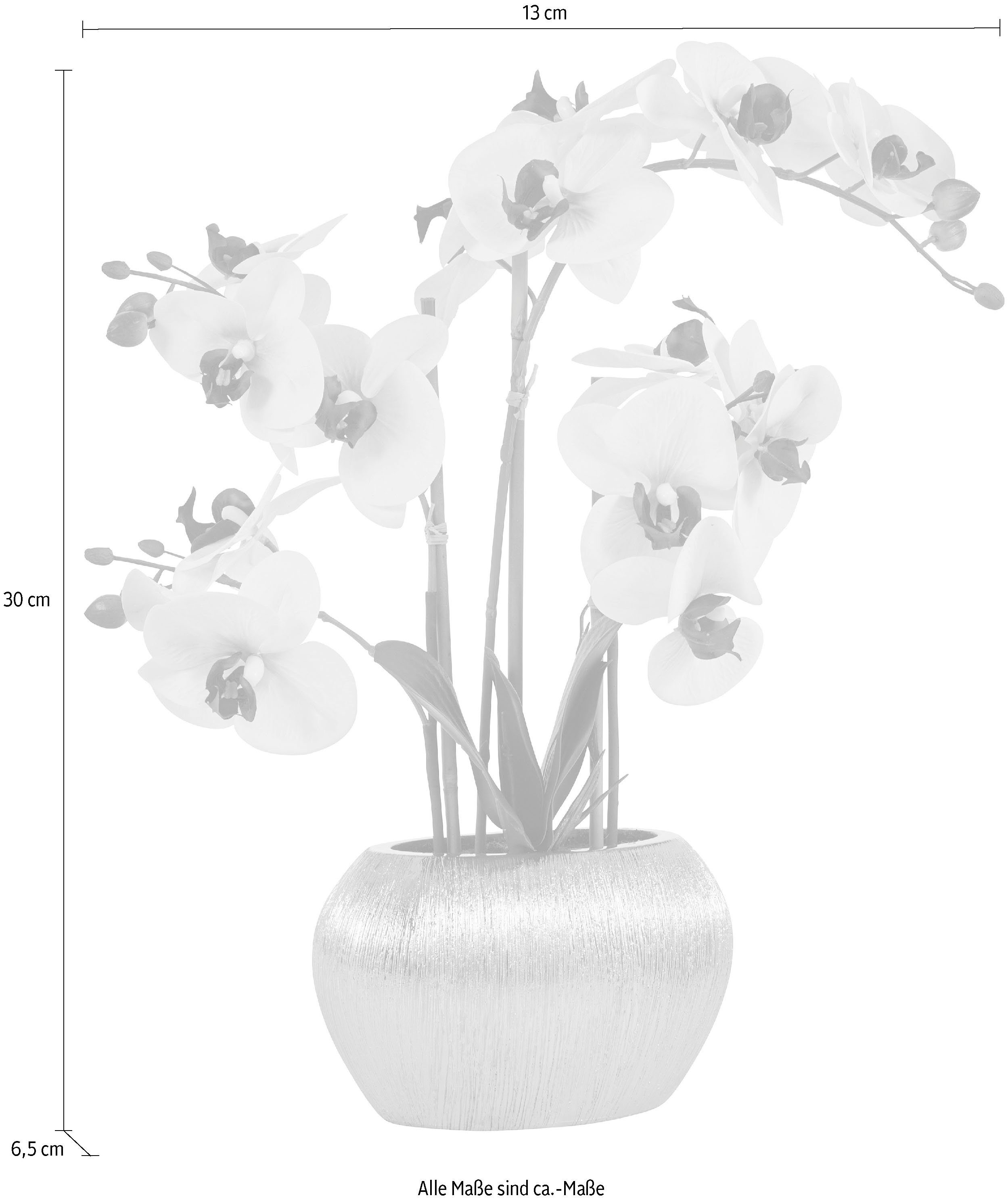 Home affaire Kunstplant Orchidee Kunstorchidee, in een pot (1 stuk)