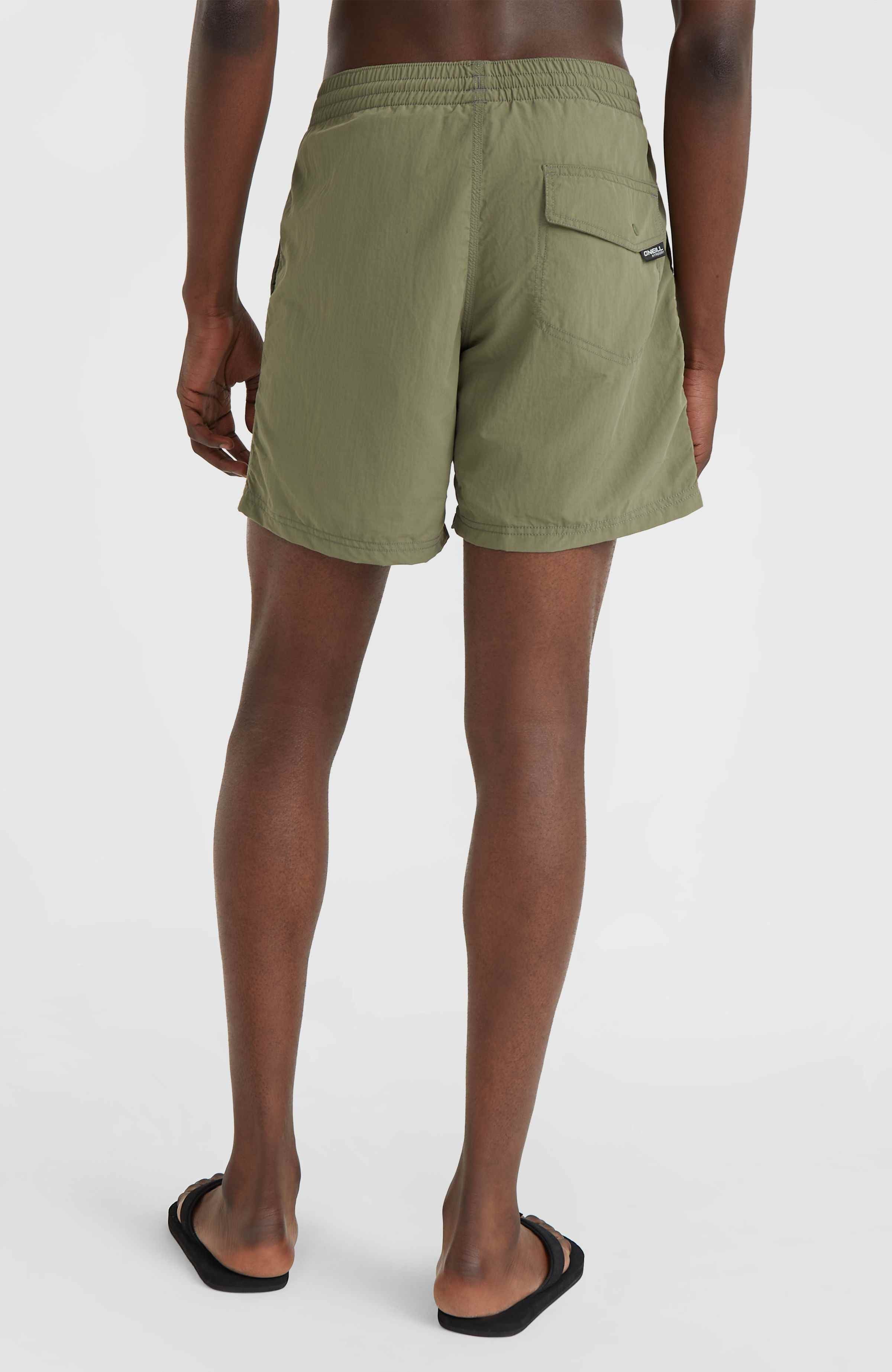 O'Neill Zwemshort VERT 16'' SWIM SHORTS