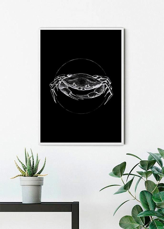 Komar Wanddecoratie Crab black Wanddecoratie - zonder lijst (1 stuk)