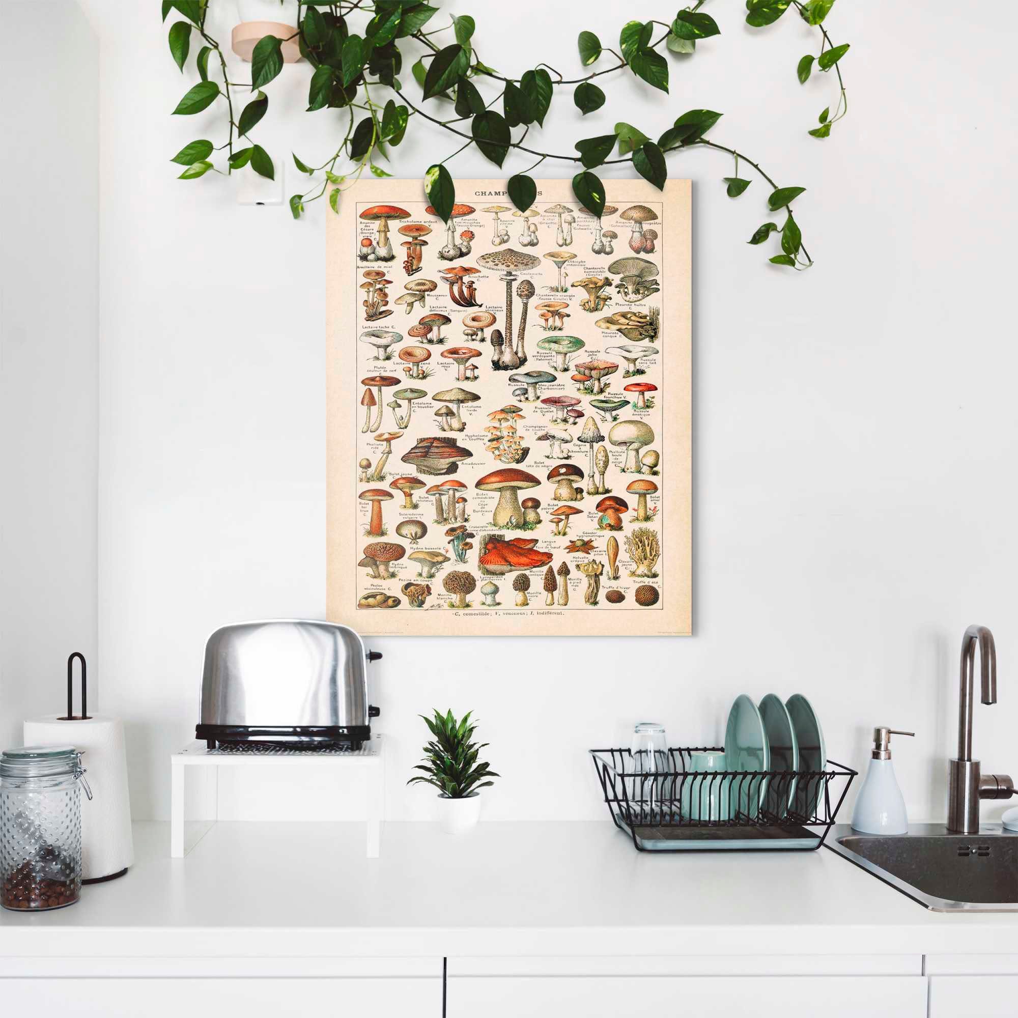 Reinders! Decoratief paneel Paddenstoel
