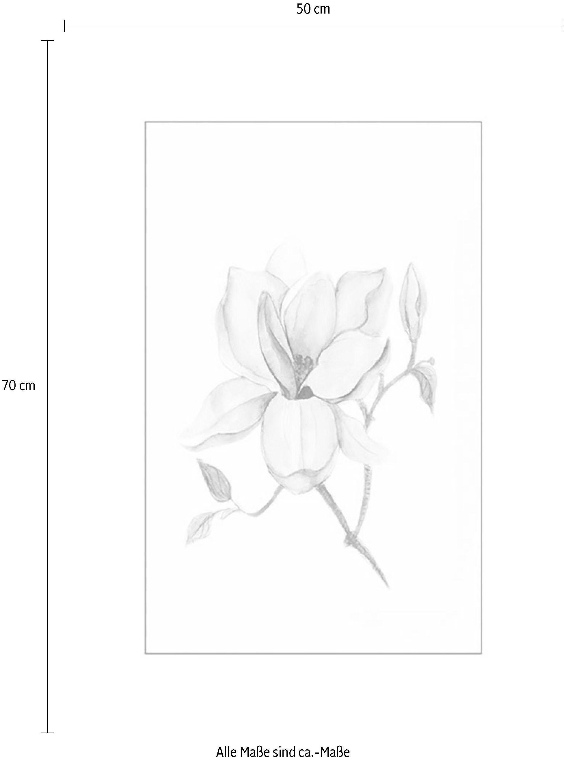 Komar Wanddecoratie Magnolia Shine Wanddecoratie - zonder lijst (1 stuk)
