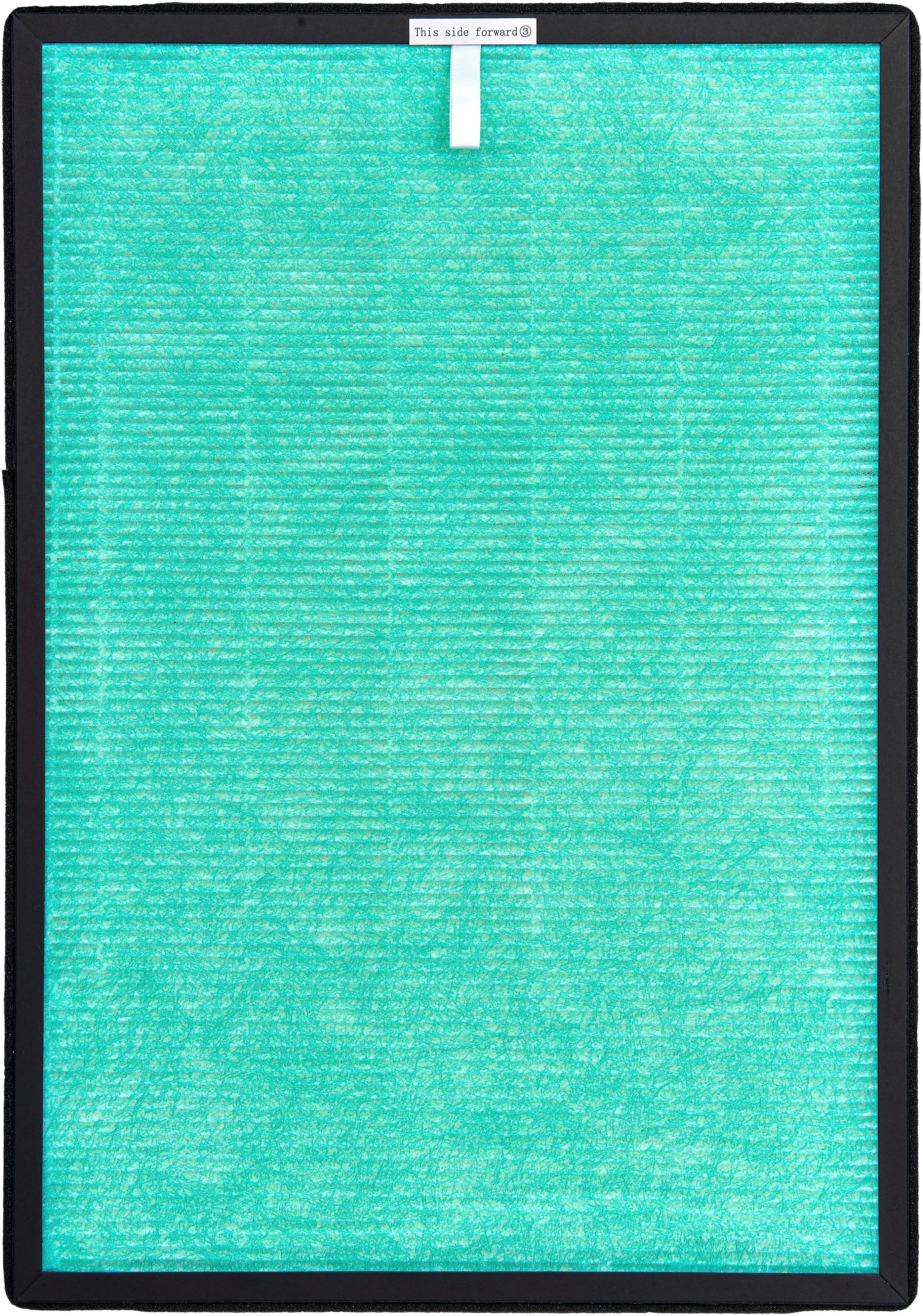 Gutfels Filterset HEPA 14 voor LR 67015 we (2-delig)