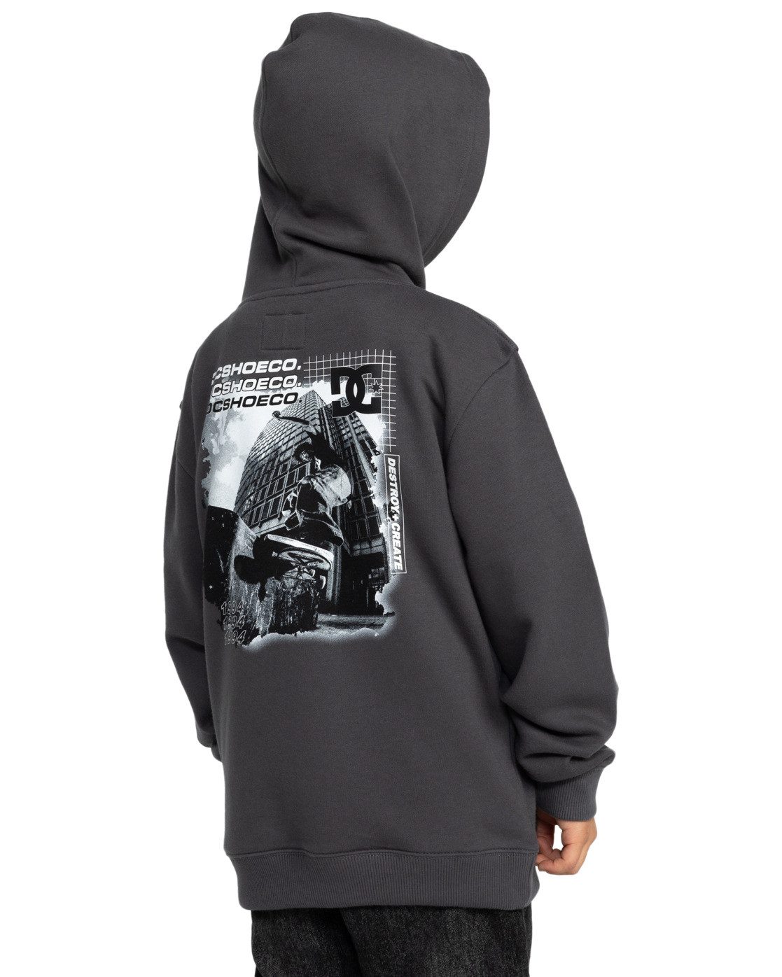 DC Shoes Hoodie Whereabouts
