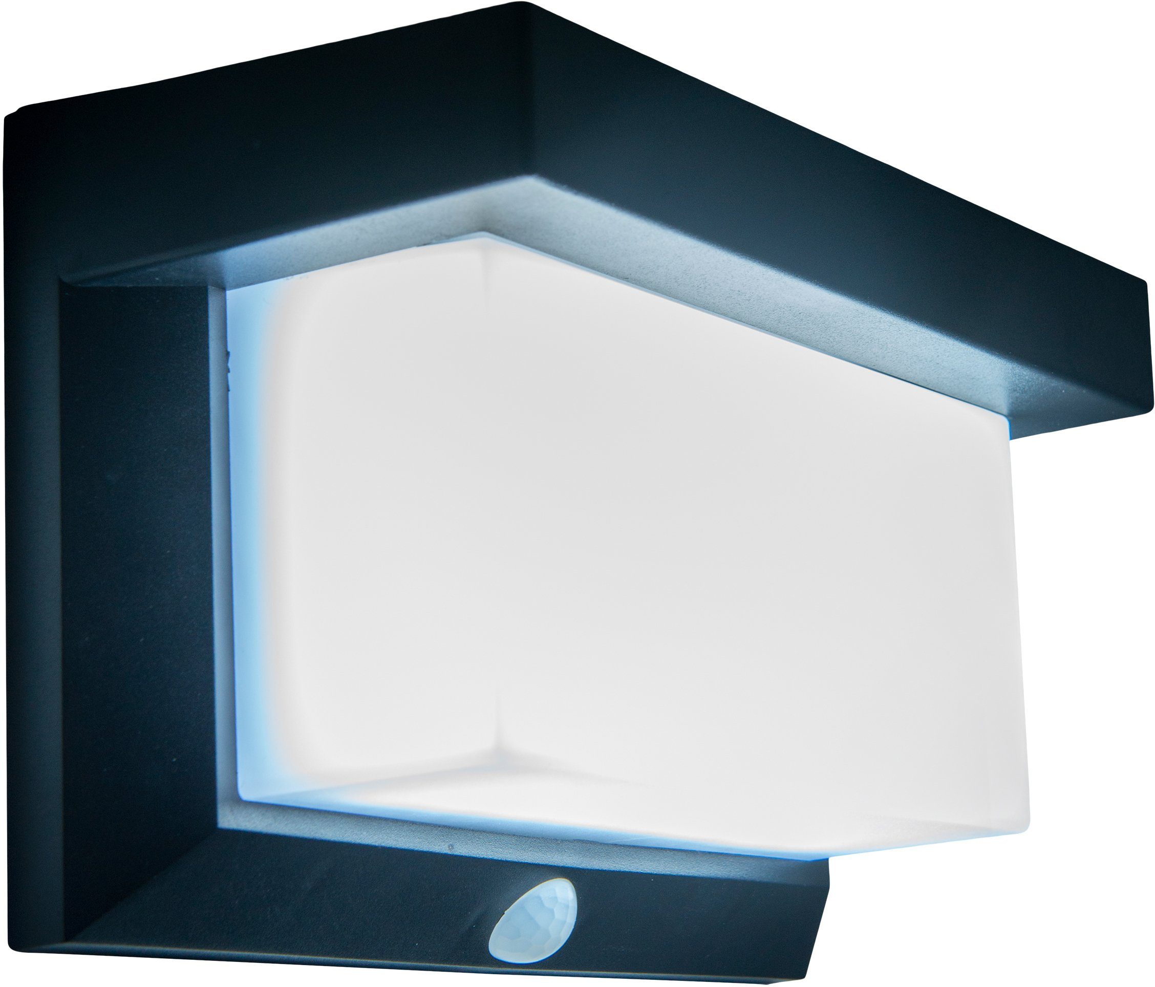 näve Ledsolarlamp Aurel Schemersensor, bewegingsmelder, timer, 4 functies (1 stuk) tuinlampen zwart