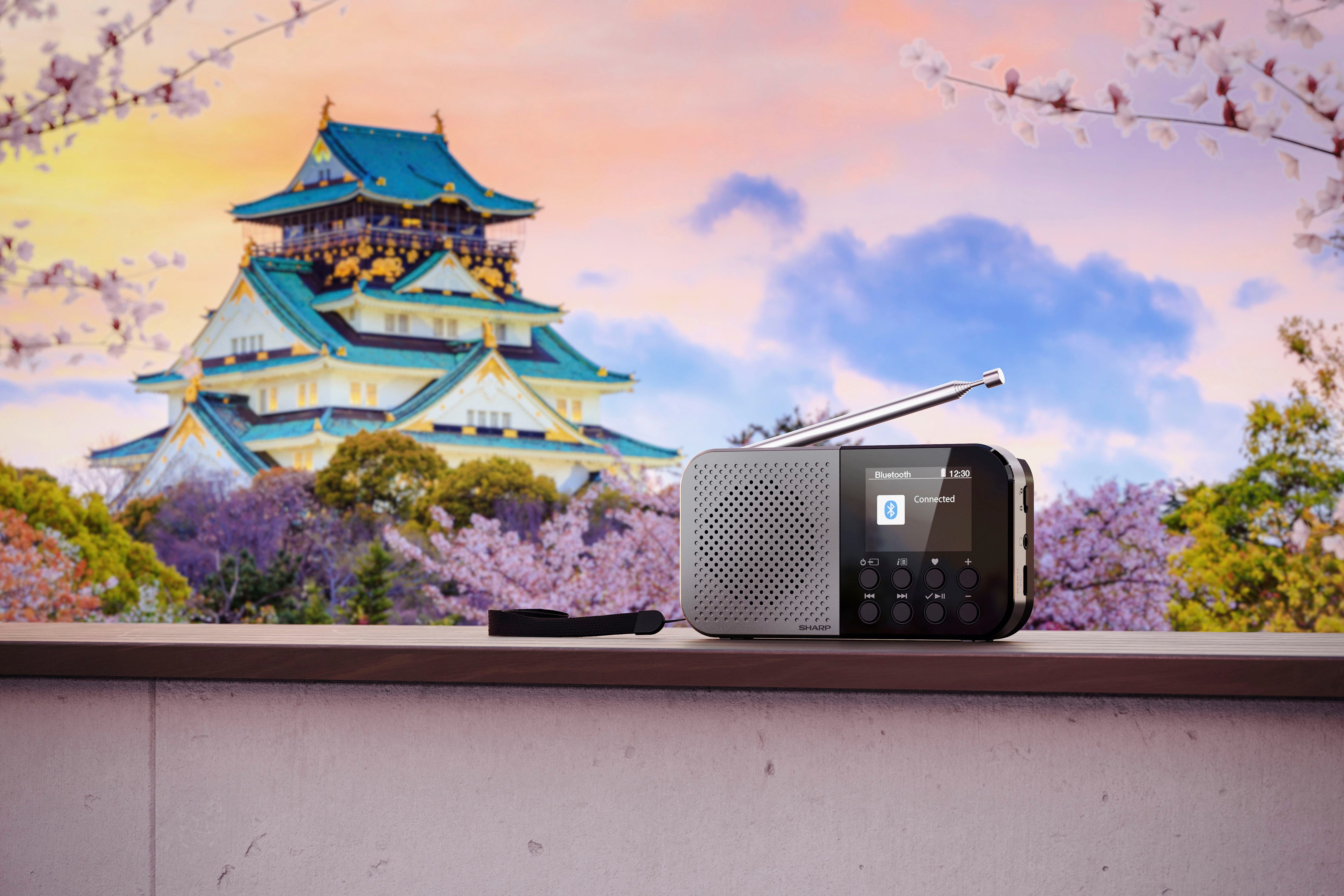 Sharp Radio DR-P520