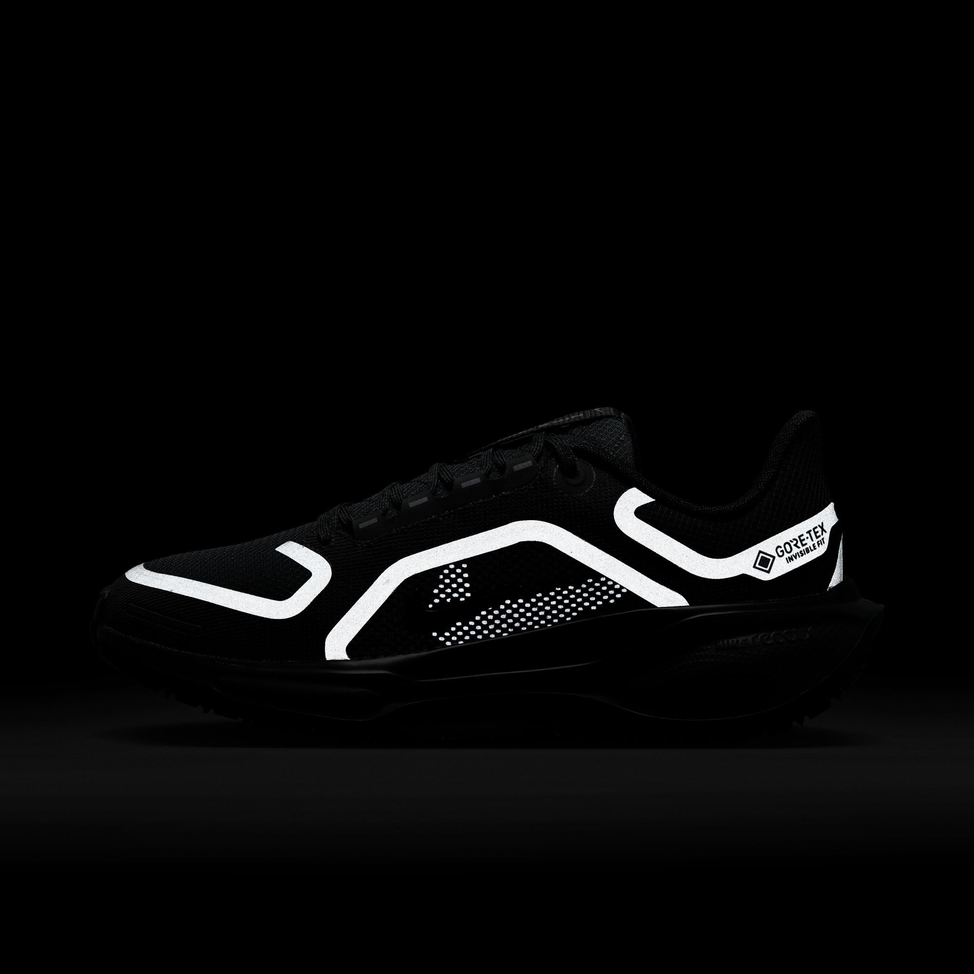Nike Runningschoenen W AIR ZM PEGASUS 41 GTX