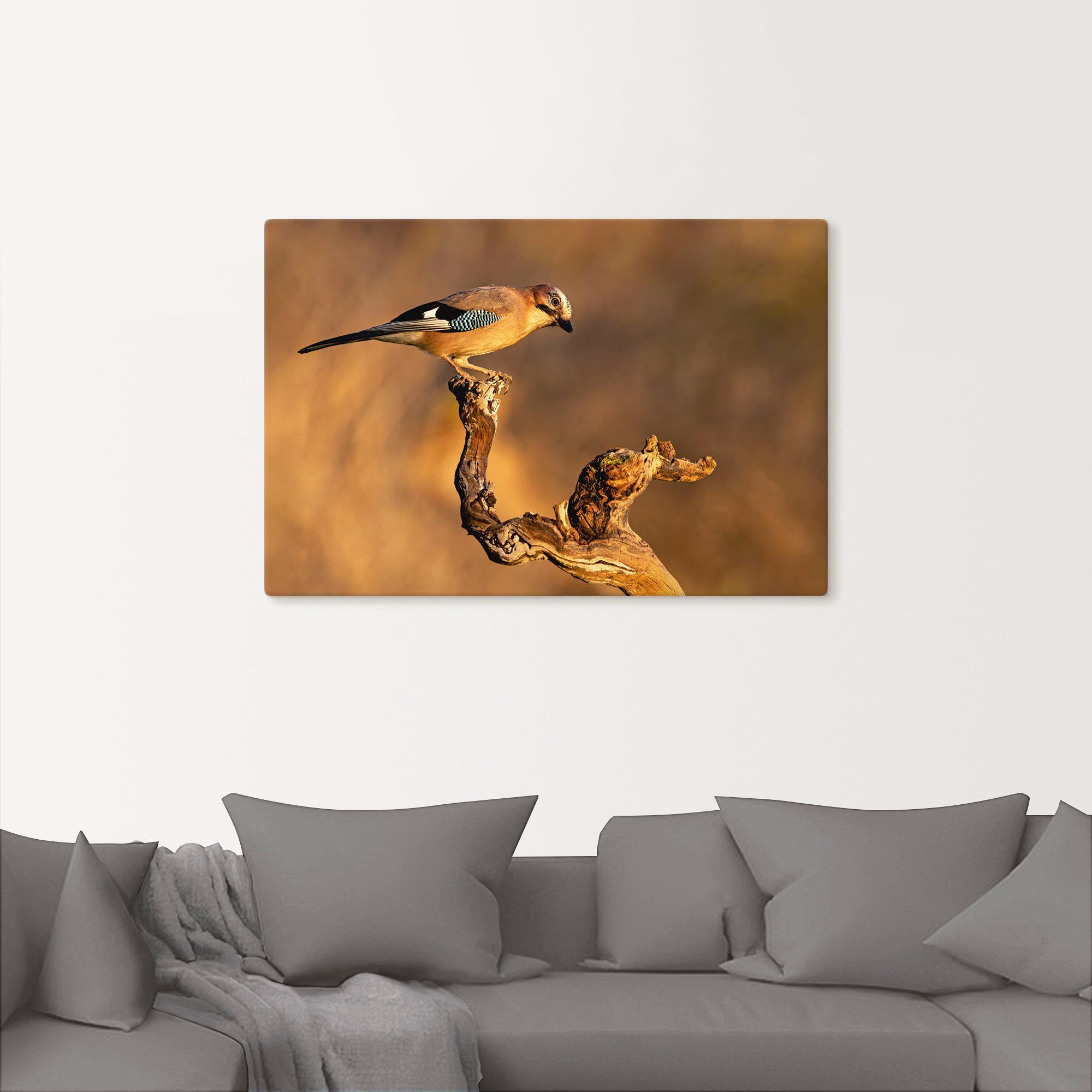 Artland Artprint Vlaamse gaai als artprint op linnen, poster in verschillende formaten maten