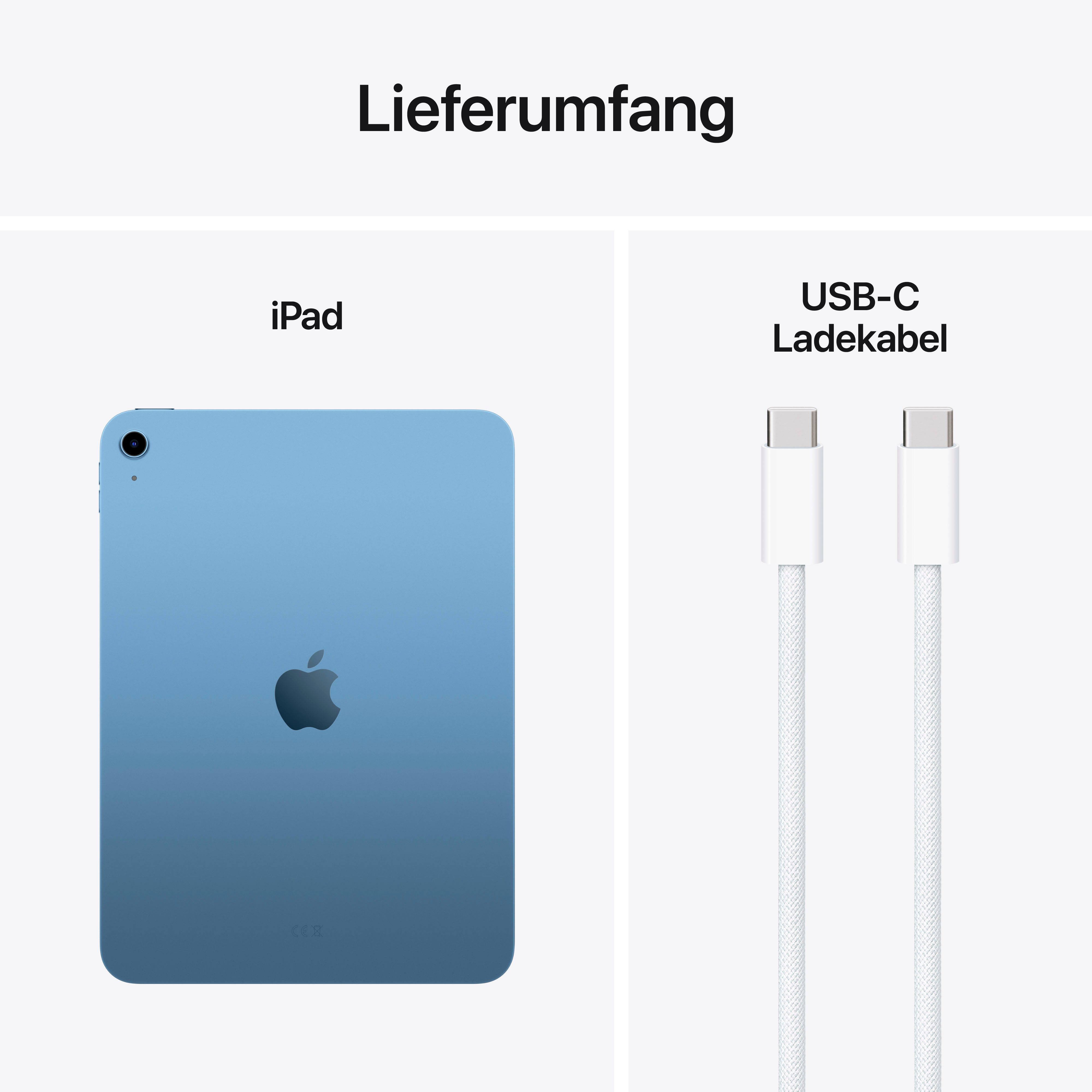 Apple Tablet 11" iPad Wi-Fi (2025), 10,86 ", iPadOS