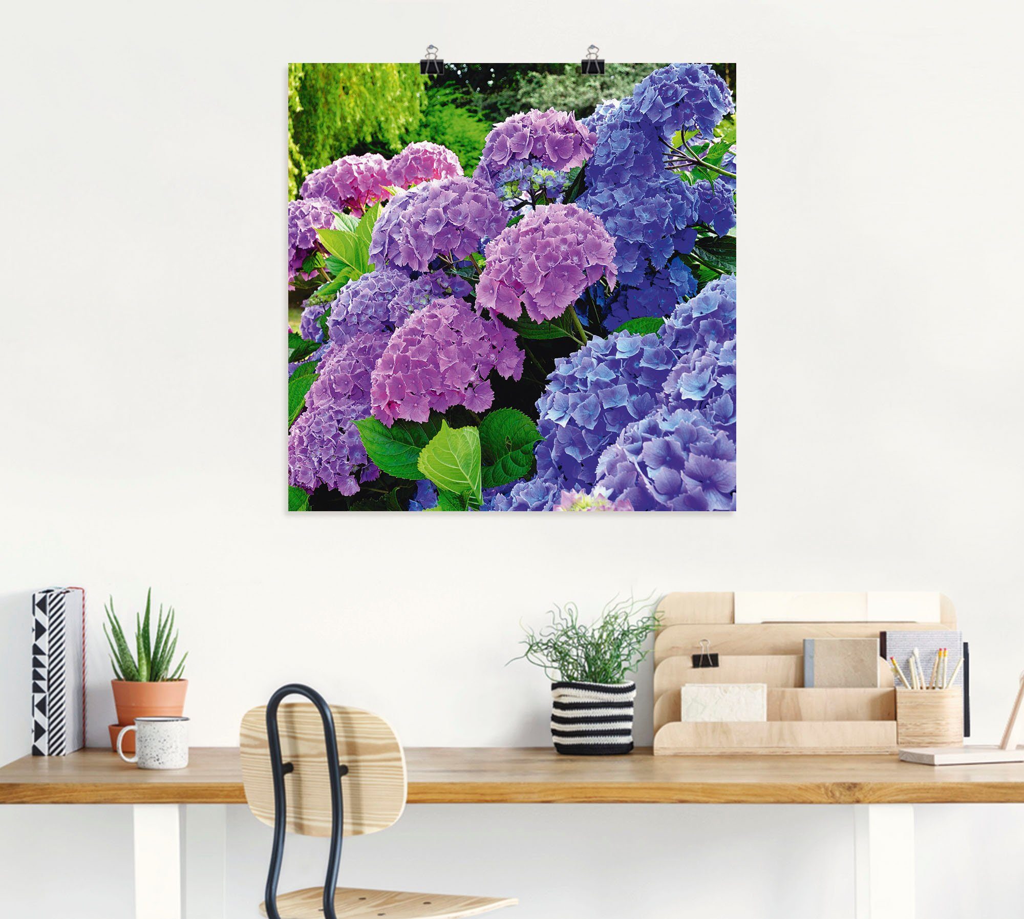 Artland Artprint Hortensia's in de tuin als artprint van aluminium, artprint voor buiten, artprint op linnen, poster, muursticker