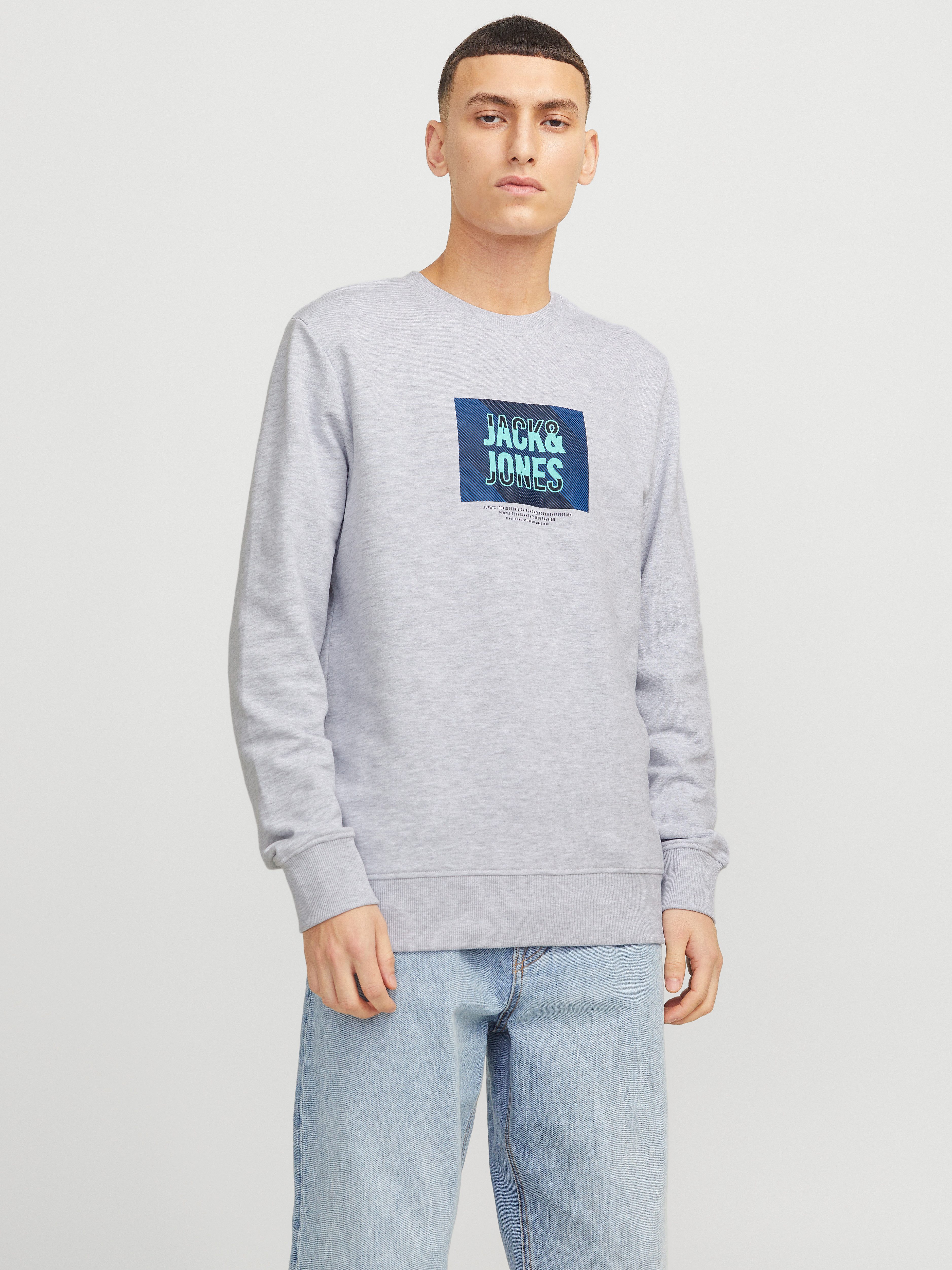 Jack & Jones Sweatshirt JJHUDSON SWEAT CREW NECK