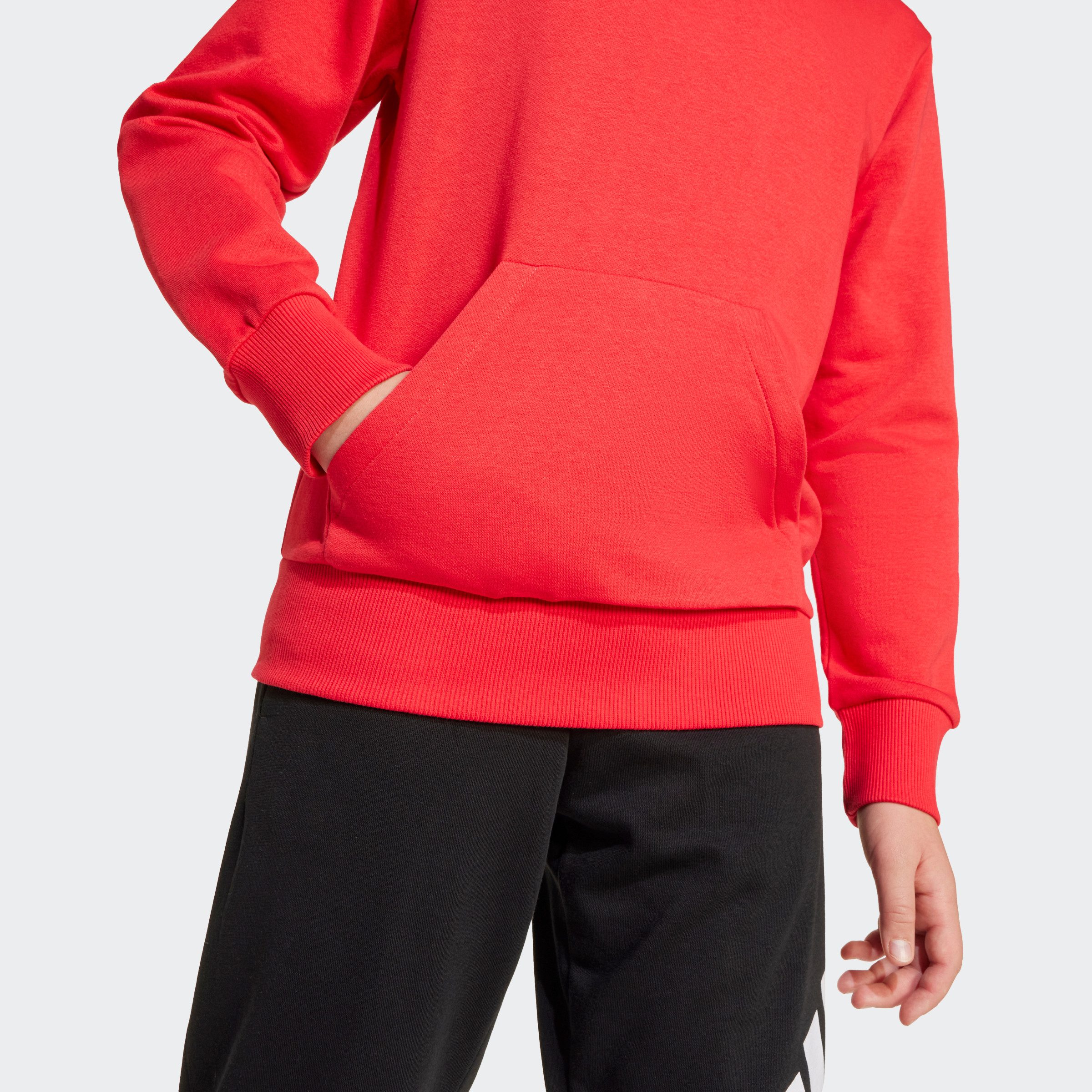 adidas Sportswear Hoodie J SL FL HD 225