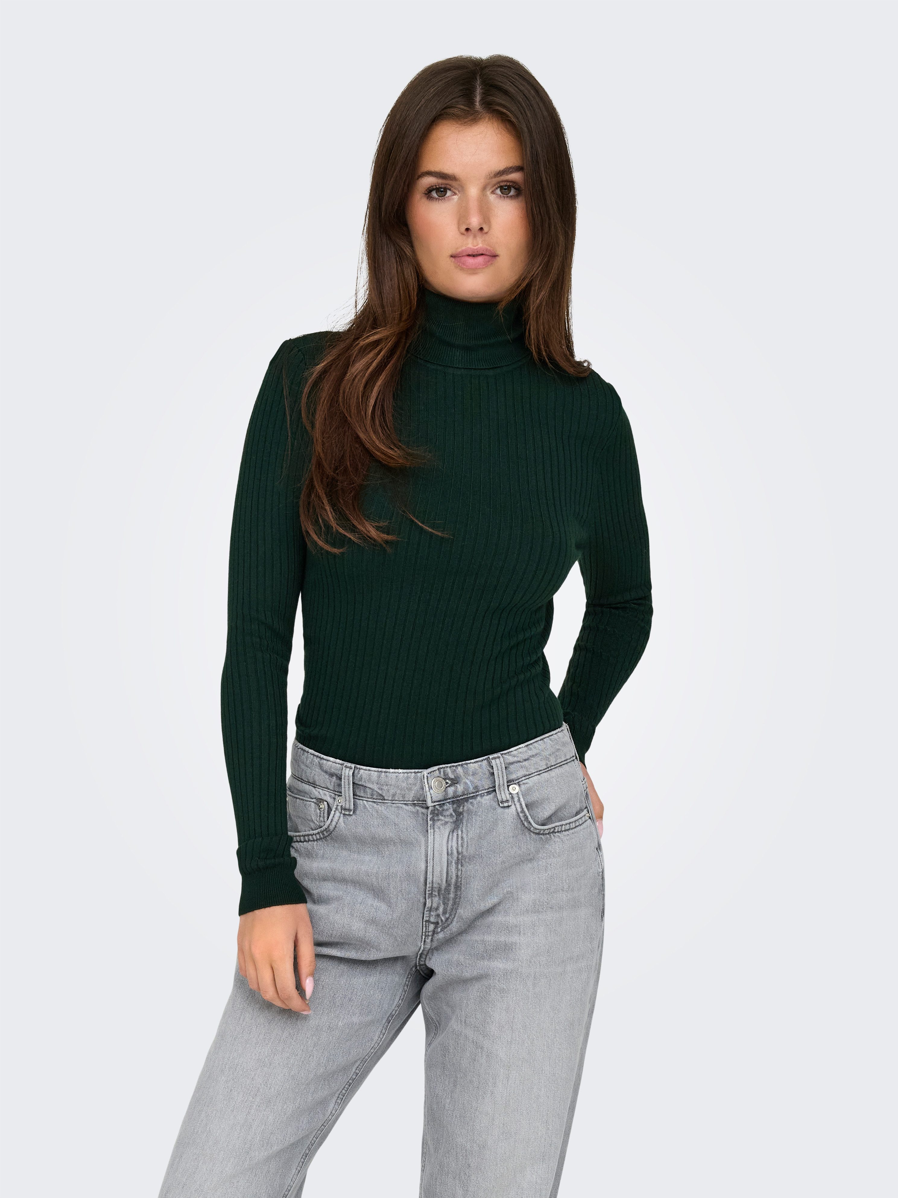 Only Coltrui ONLKAROL L/S ROLLNECK PULLOVER KNT NOOS