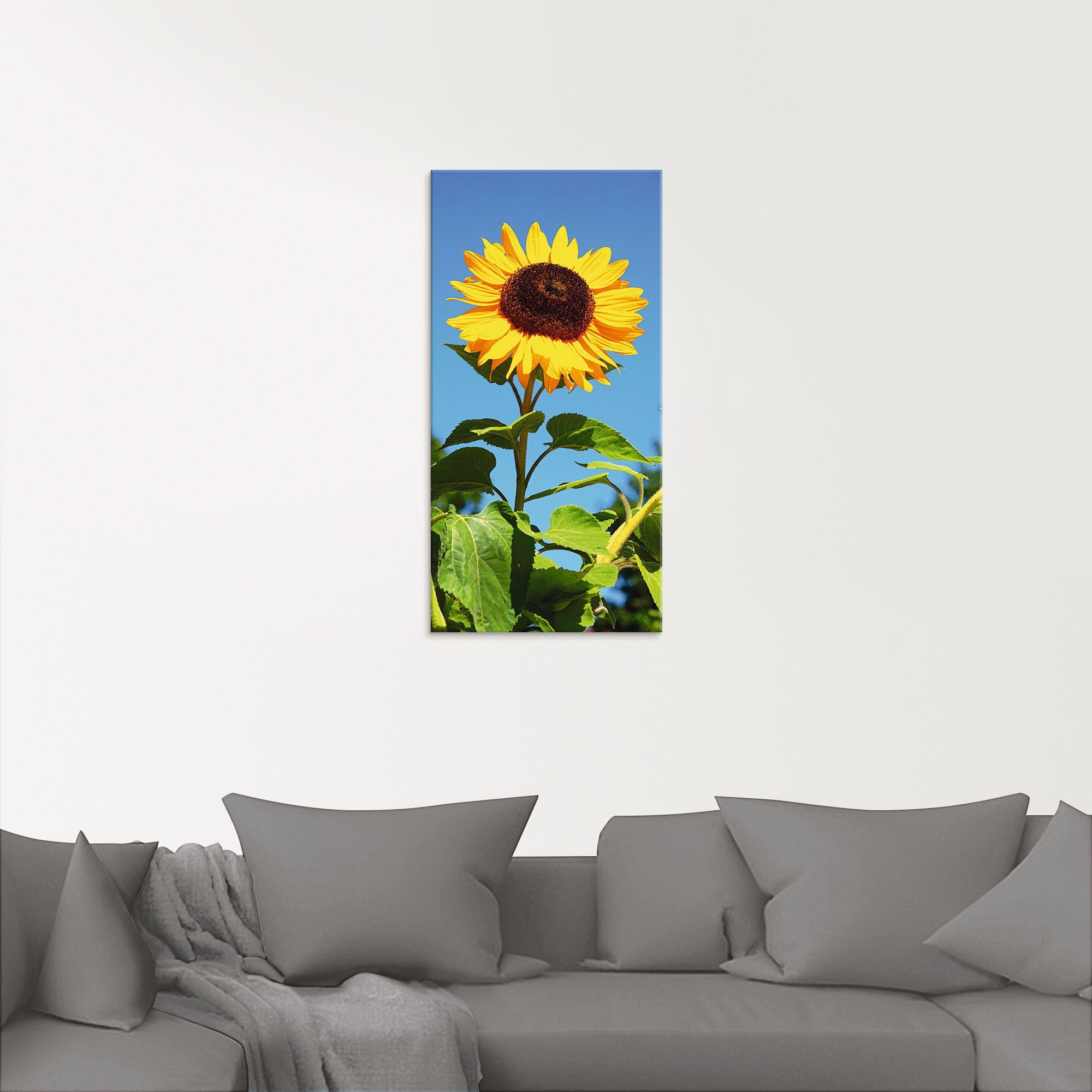 Artland Print op glas Grote zonnebloem in verschillende maten