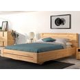 gami bed confidence bruin