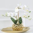 leonique kunstplant orchidee kunstorchidee, in een pot (1 stuk) wit