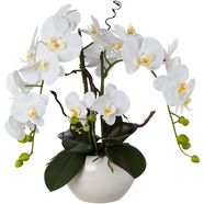 creativ green kunstorchidee vlinderorchidee in een keramische pot (1 stuk) wit
