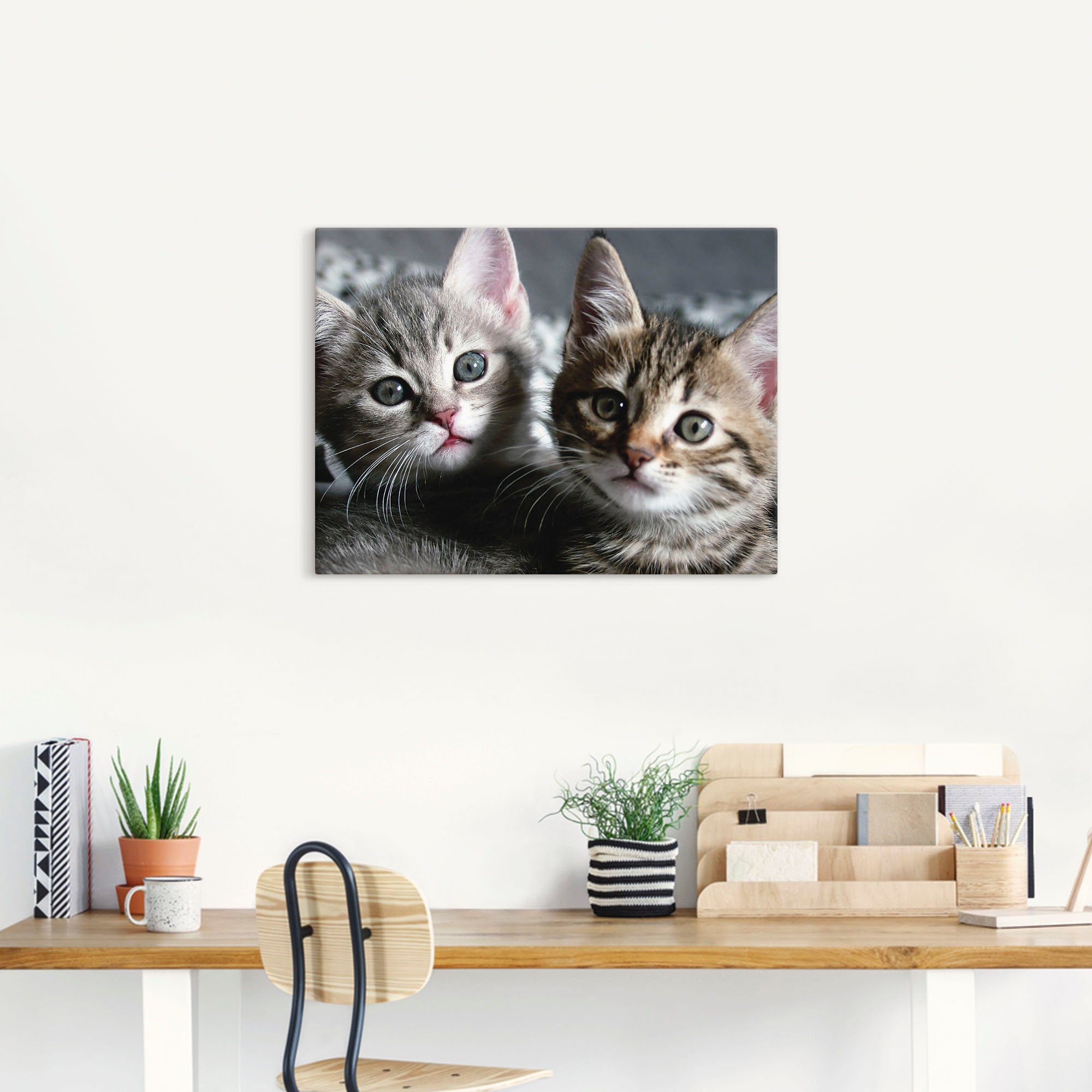 Artland Artprint Kat als artprint van aluminium, artprint voor buiten, artprint op linnen, poster, muursticker