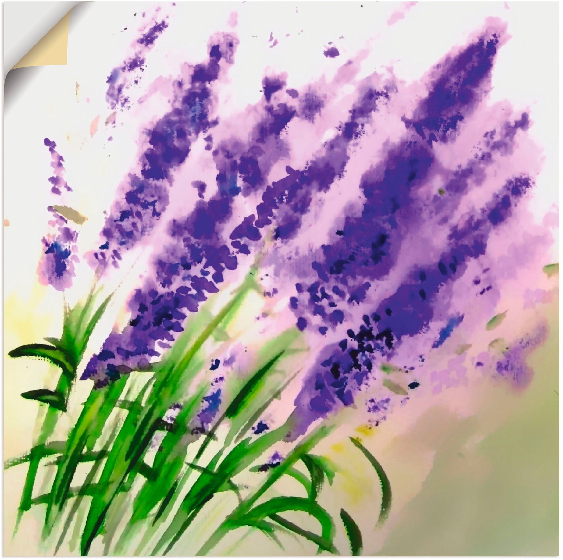 Artland Artprint Lavendel-aquarel in vele afmetingen & productsoorten -artprint op linnen, poster, muursticker / wandfolie ook geschikt voor de badkamer (1 stuk)