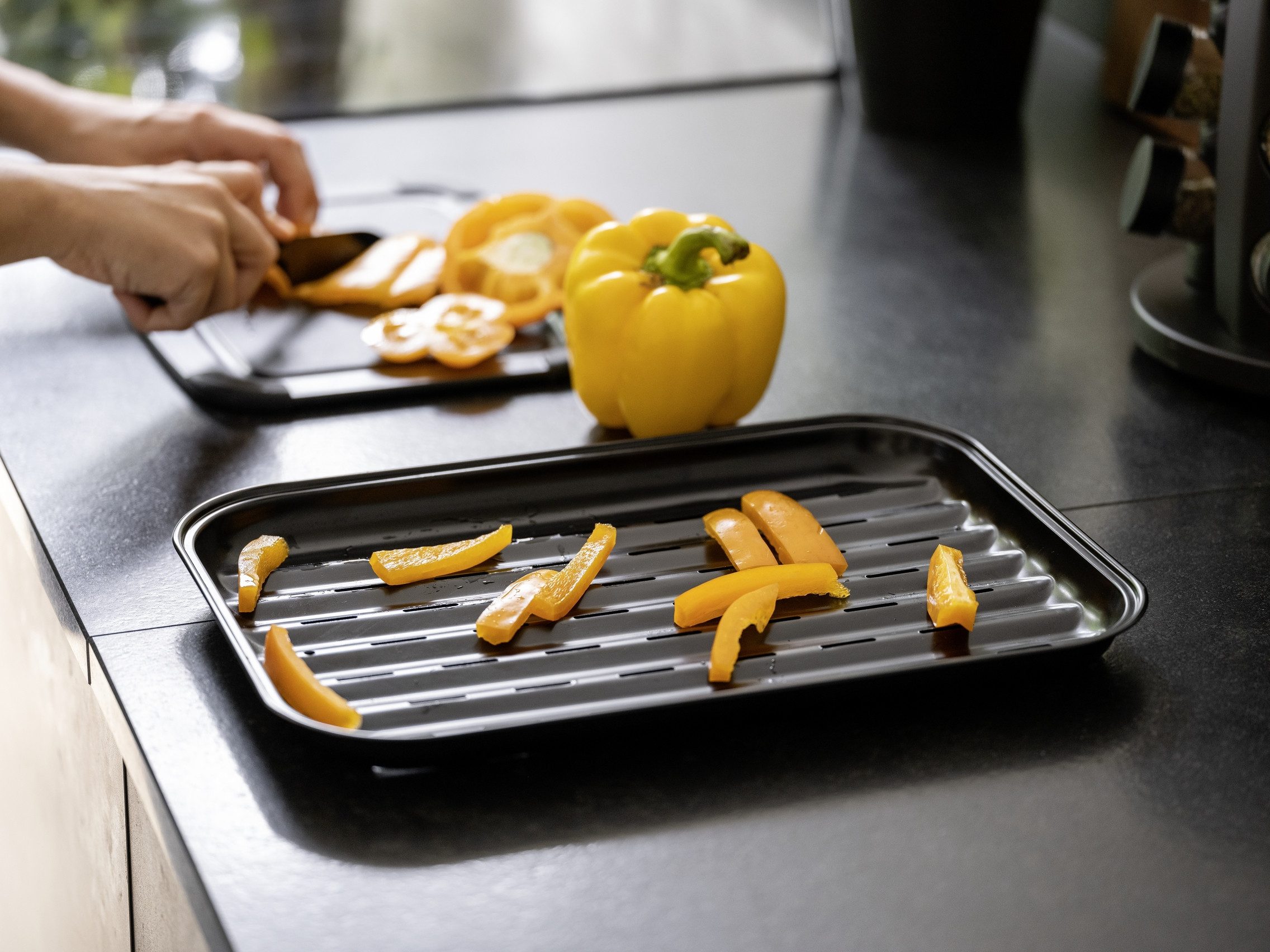 WENKO Barbecueschaal Model Luca (2 stuks)