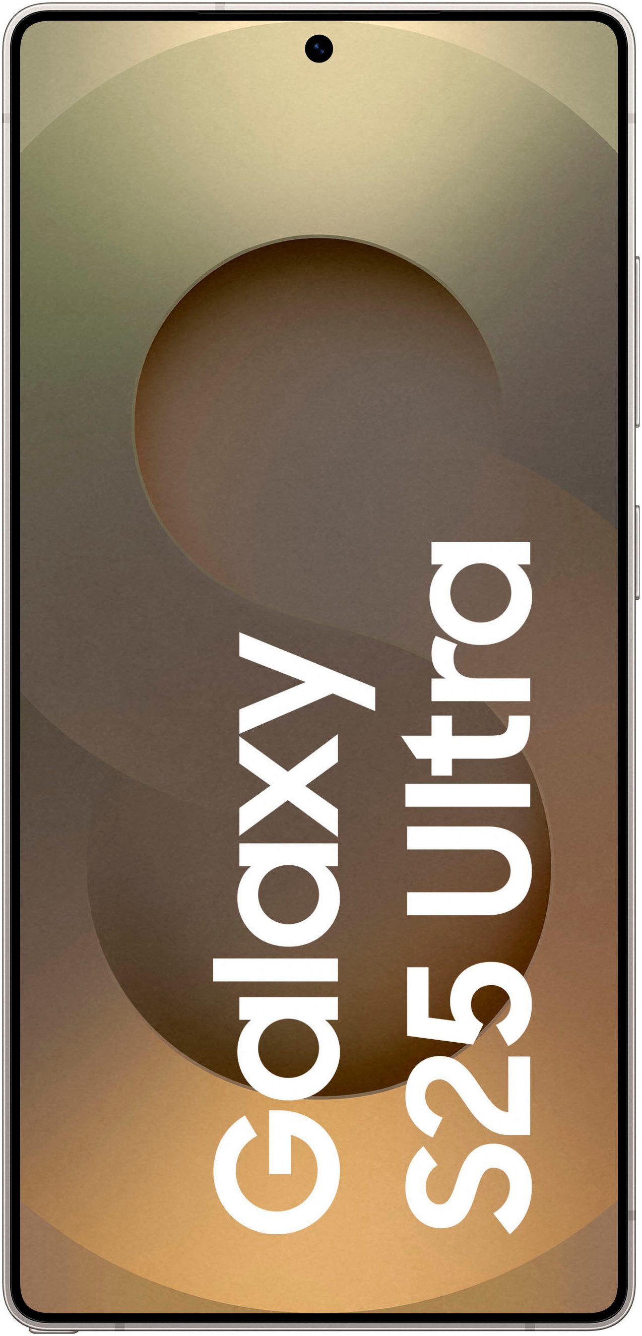 Samsung Smartphone Galaxy S25 Ultra