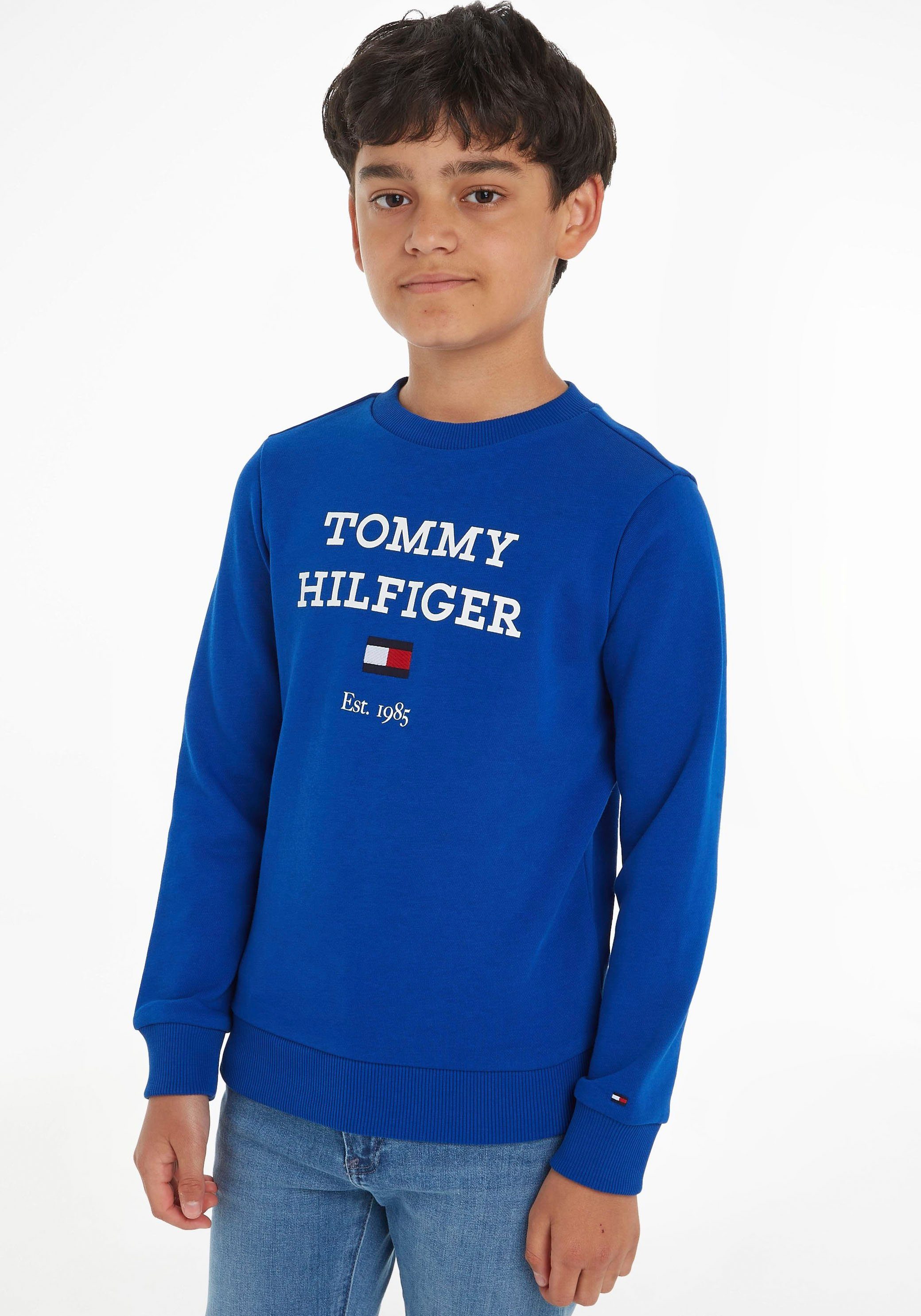 Tommy Hilfiger sweater met tekst felblauw Tekst 164
