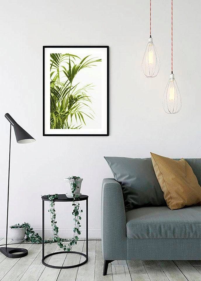 Komar Wanddecoratie Reed Leaves Wanddecoratie - zonder lijst (1 stuk)