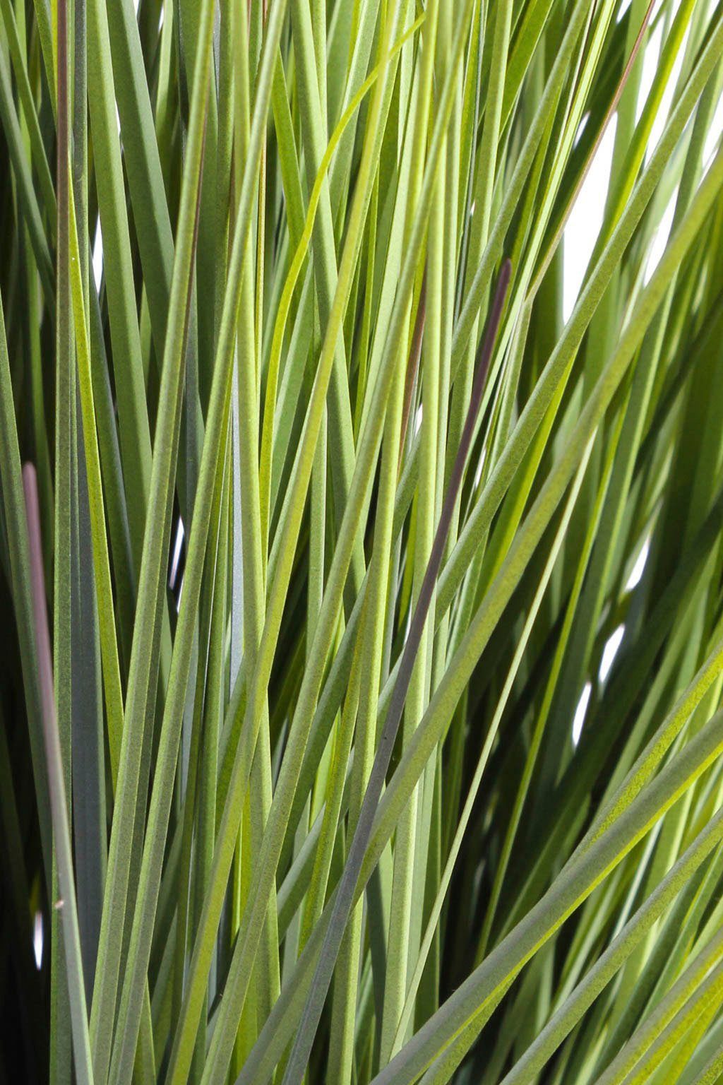 Botanic-Haus Kunstgras Grasarrangement King Festuca (1 stuk)